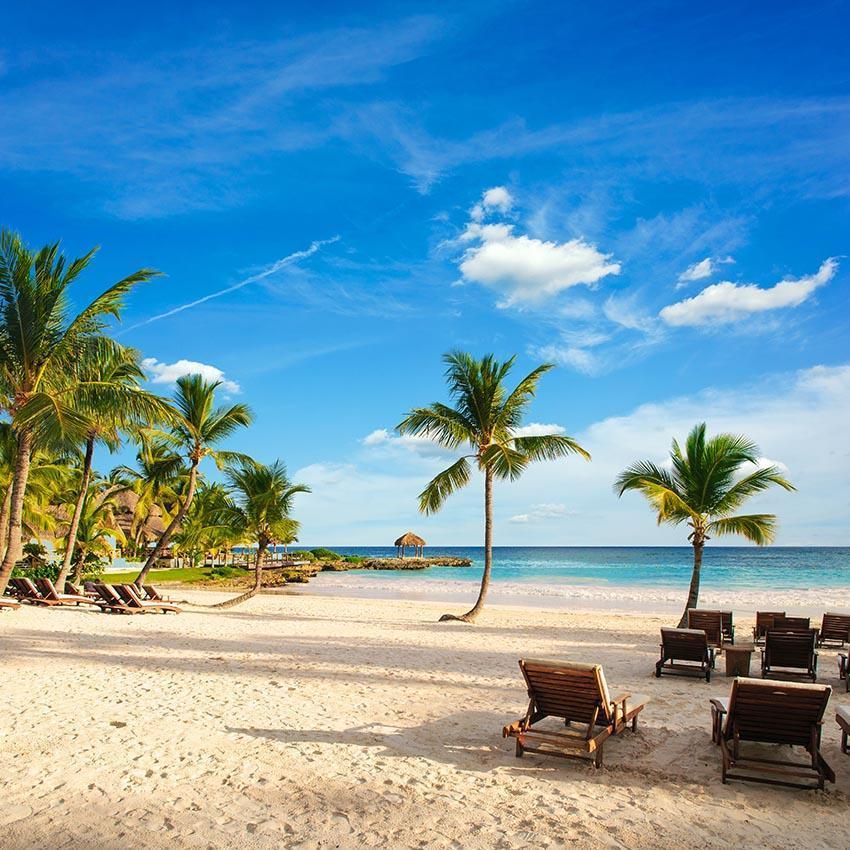 Coconut Tree Beach Ocean Summer Photography Backdrop for Photo Studio