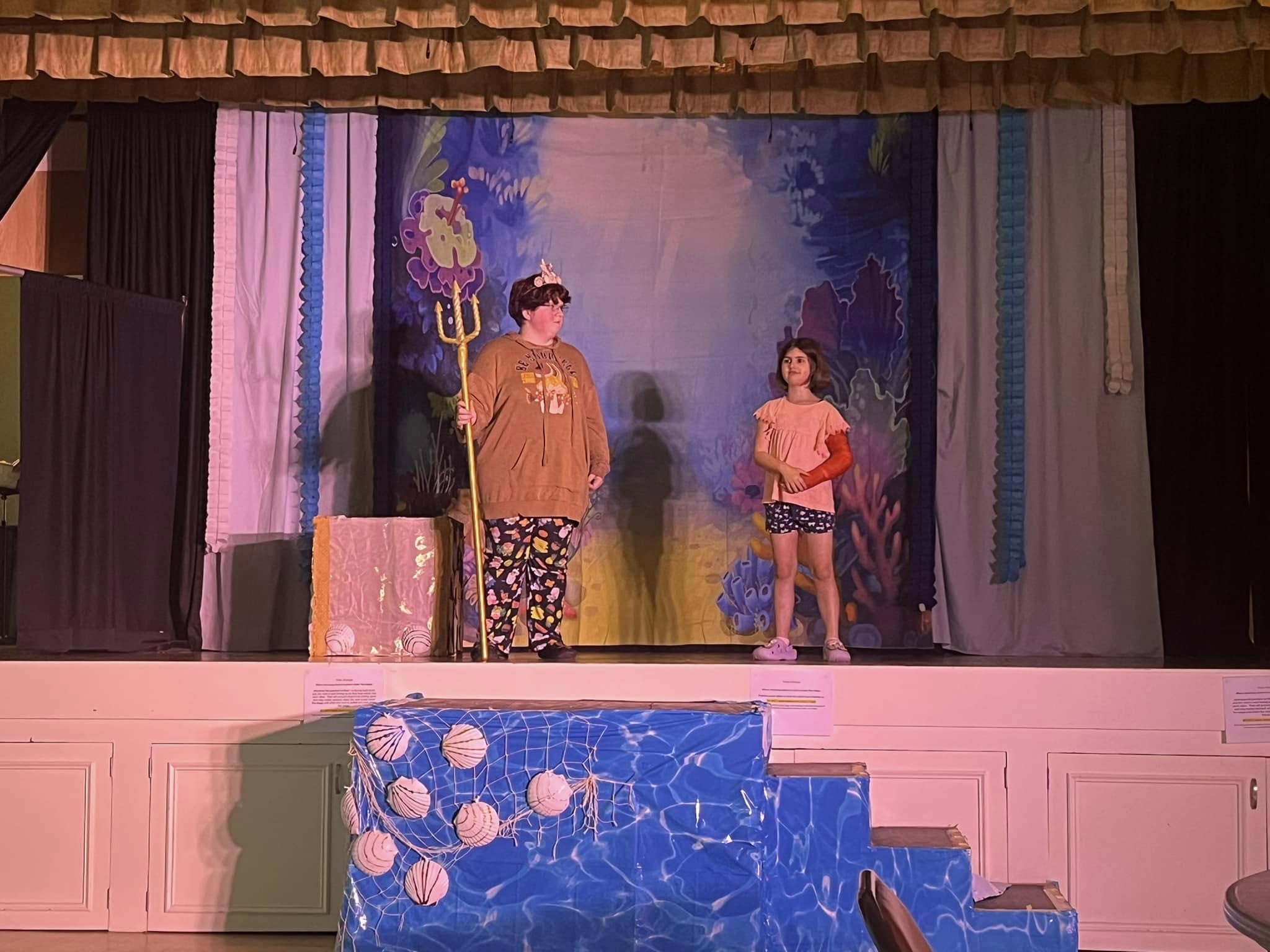 DBackdrop Custom Theater Backdrop CT1