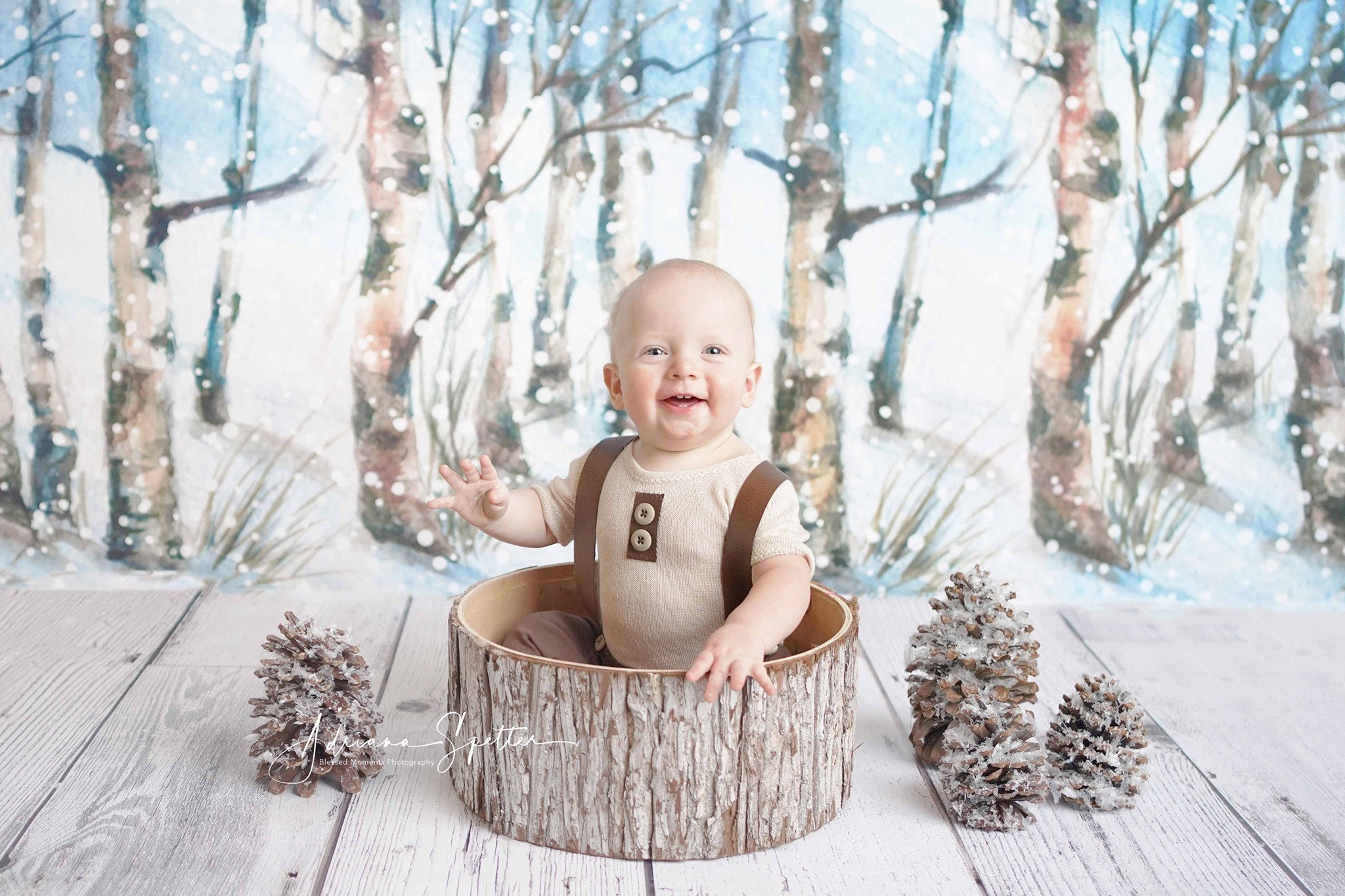 Winter Forest Backdrop Snowy Trees Wonderland Forest Backdrop MRR10-35