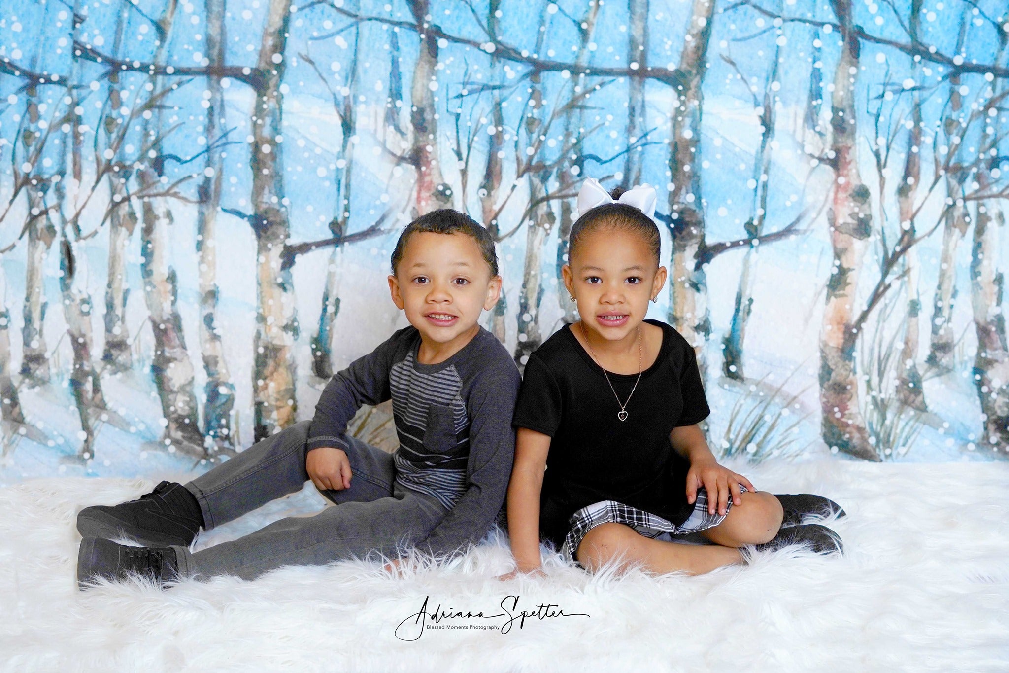 Winter Forest Backdrop Snowy Trees Wonderland Forest Backdrop MRR10-35