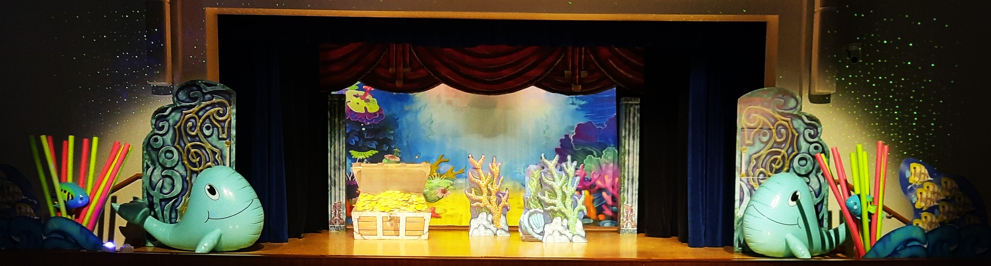 DBackdrop Custom Theater Backdrop CT1