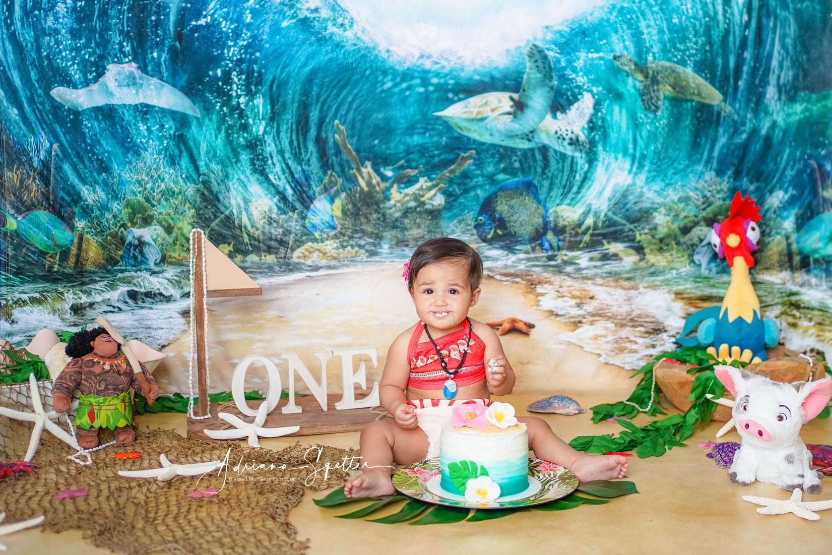 Cake Smash Backdrop Underwater Sea Life Turtles 1st Birthday Backdrop MRR10-37