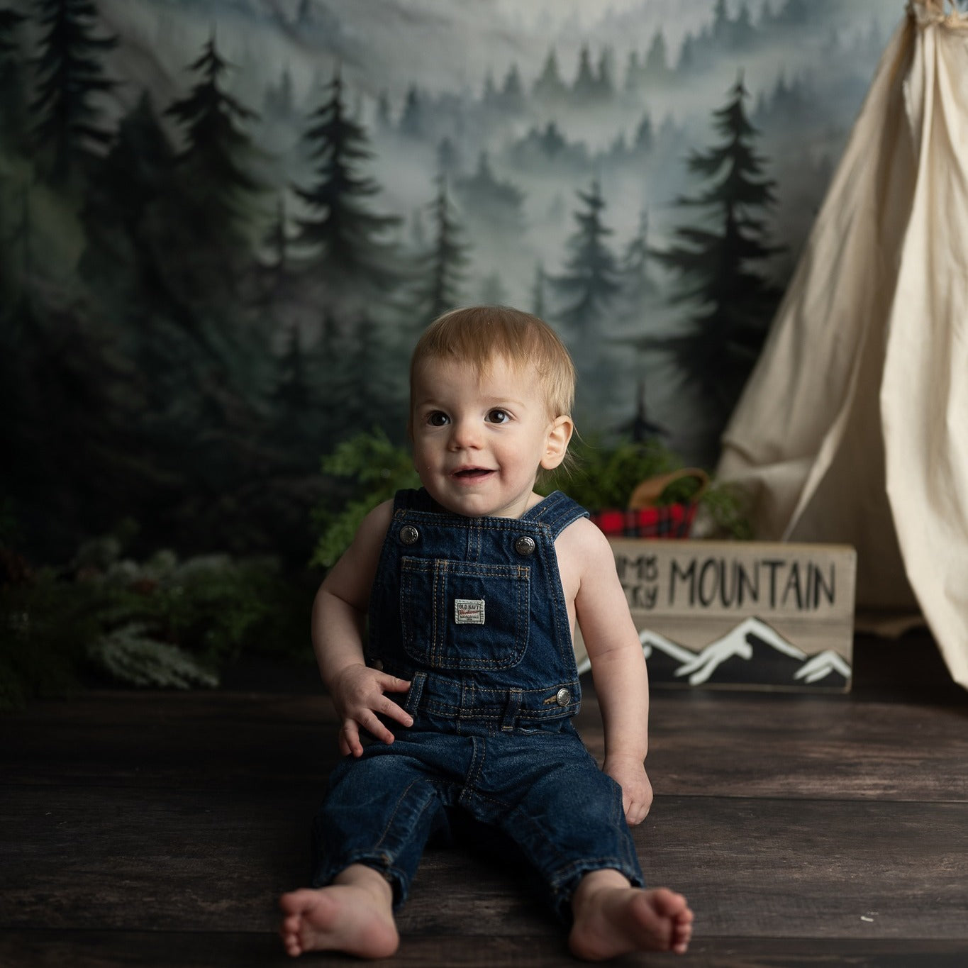 Forest Backdrop Forest Mountain Mist Layers Forest Photography Backdrop MRR9-74