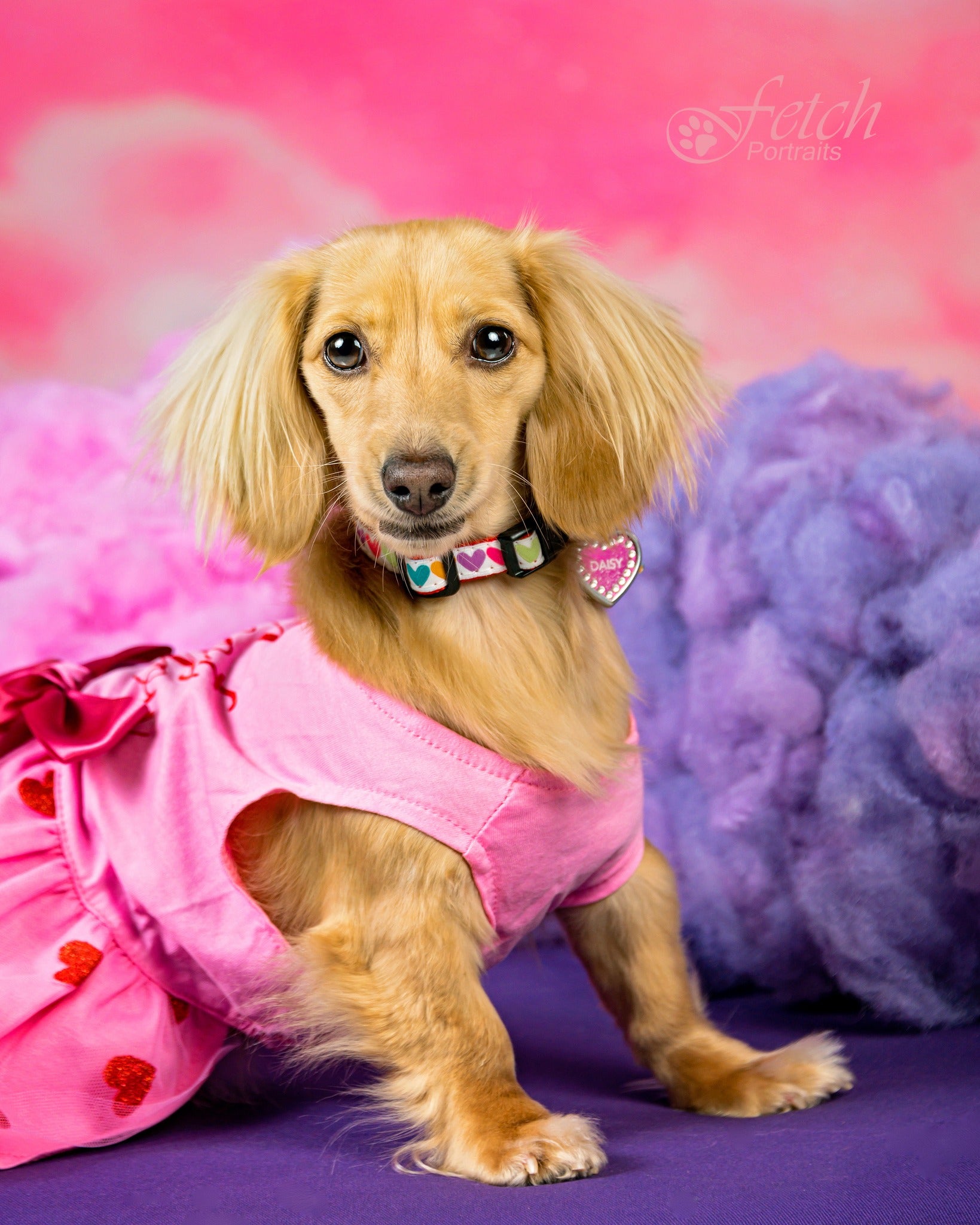 Pink Clouds Love Hearts Backdrop for Photography MR-2277