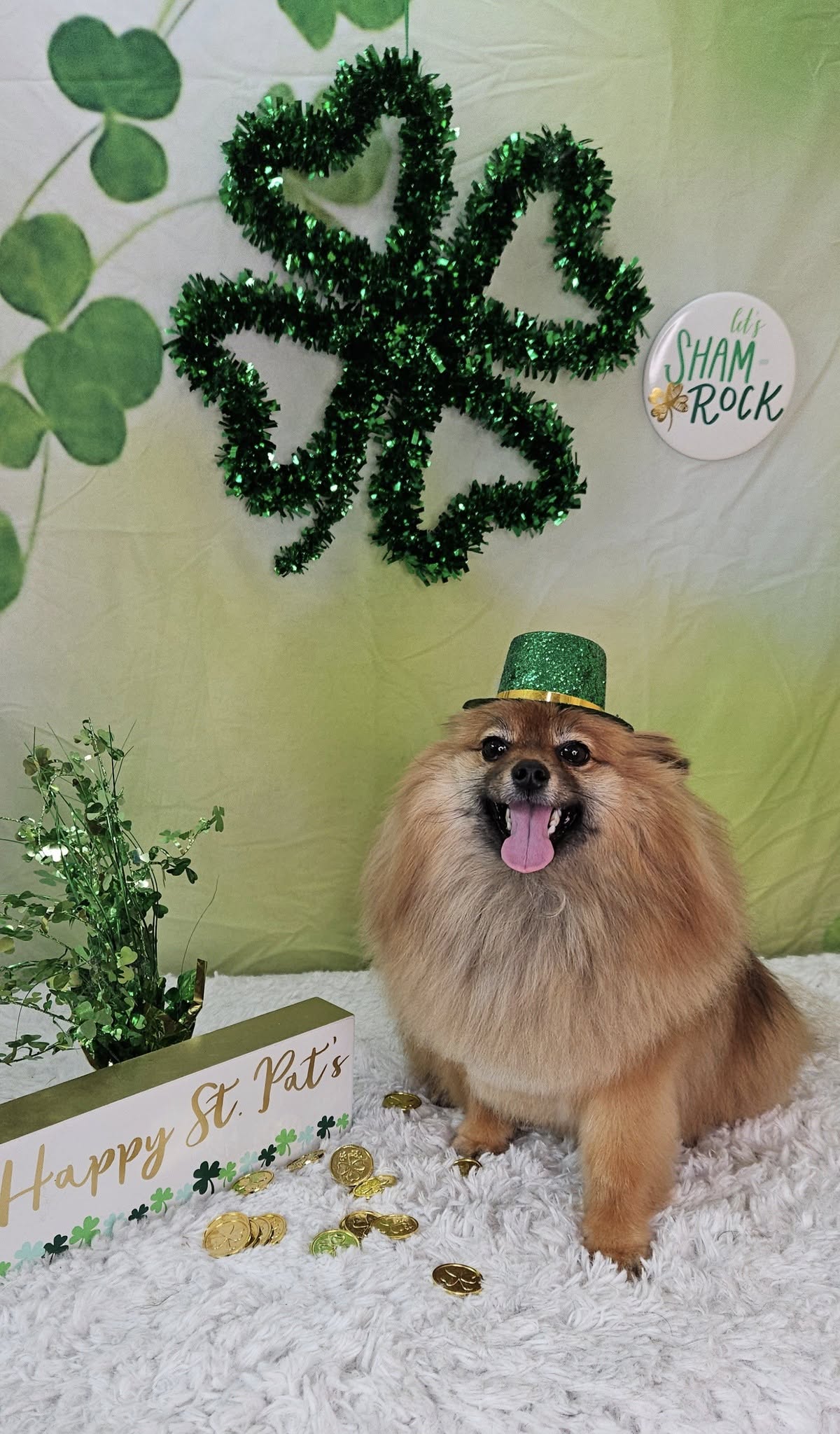 Green Happy St. Patrick's Day Photo Booth Backdrop SH163