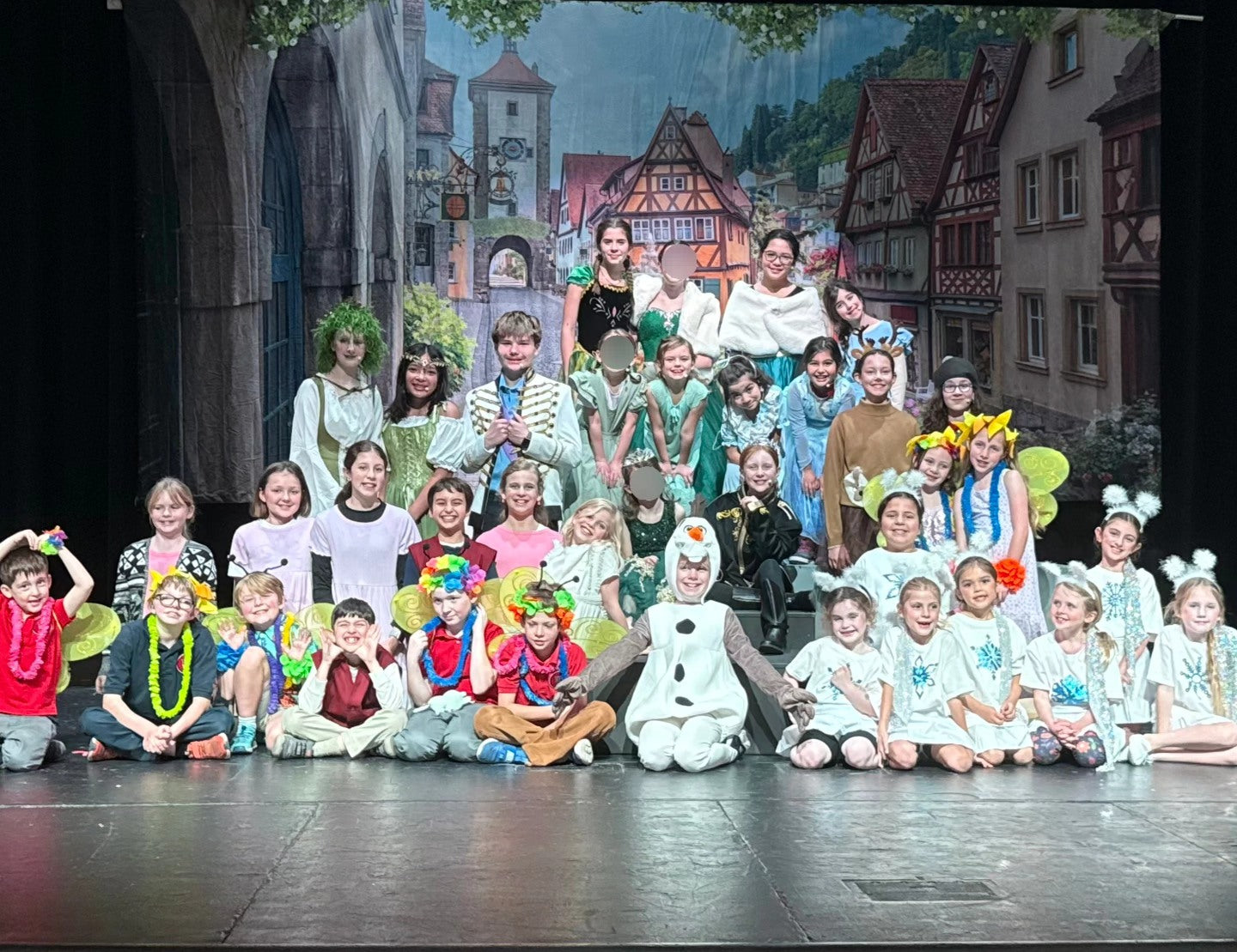 Beautiful Town Spring Flower Backdorp for Photography G-601