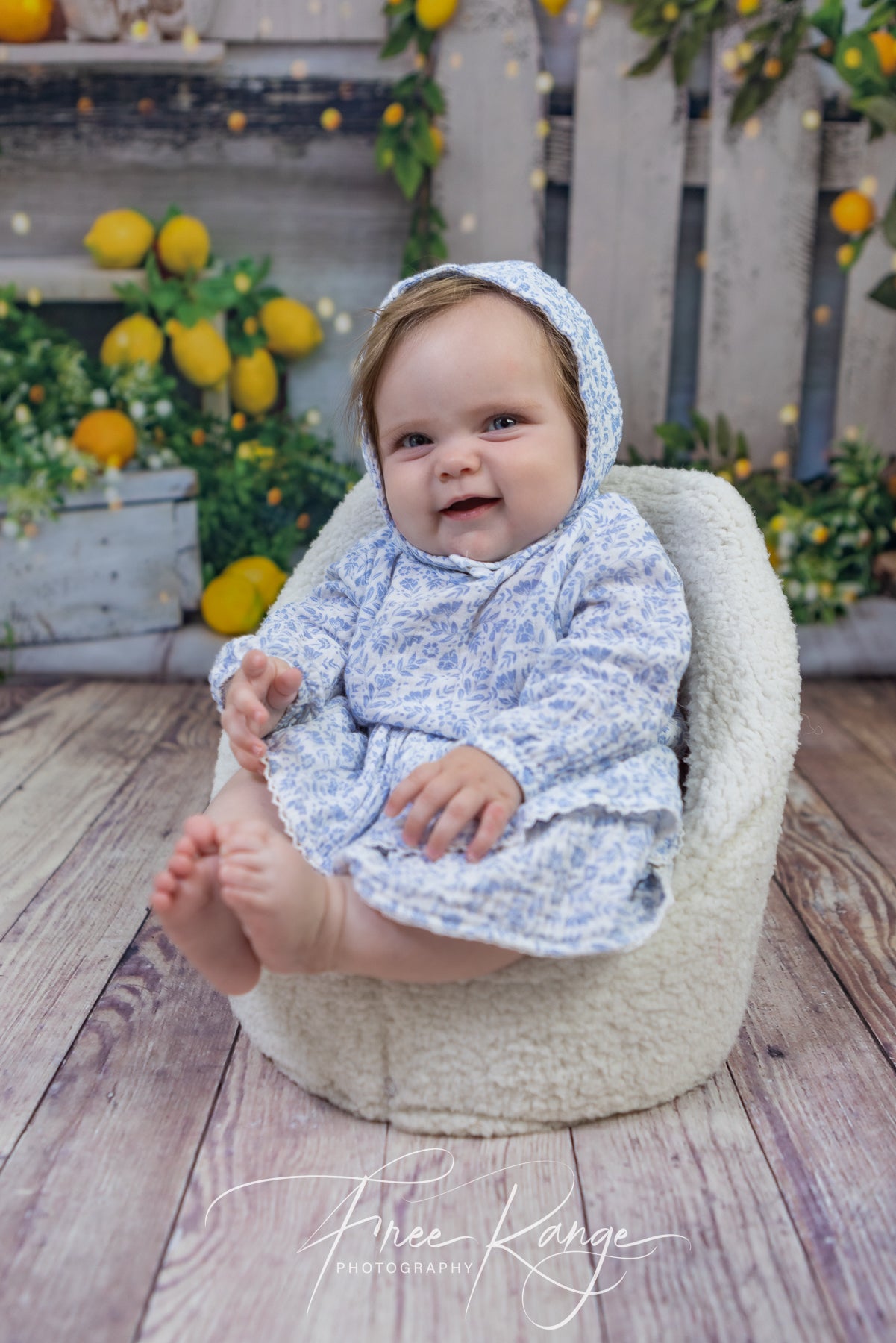 Spring Summer Lemon Tree Barn Backdrop D1061