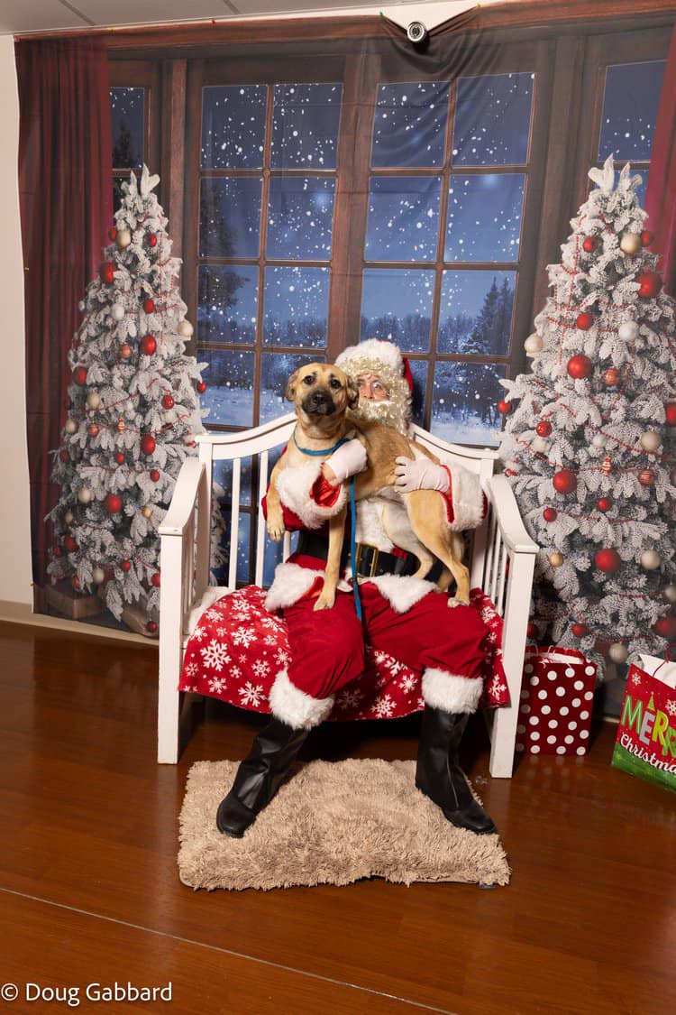 Christmas Winter Snow Window Backdrop for Photography D814