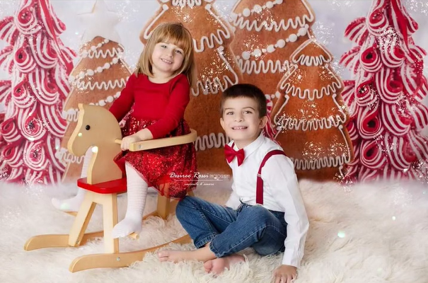Christmas Gingerbread Forest Photography Backdrop D913