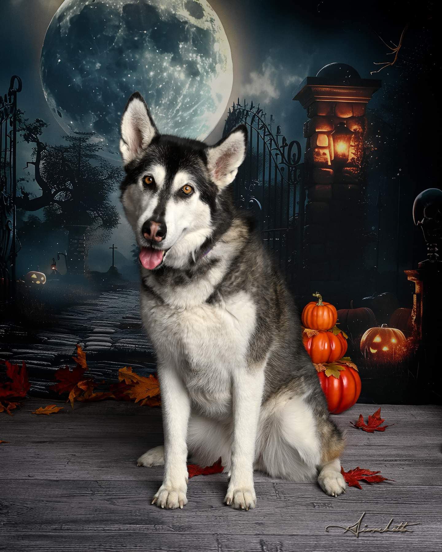 Halloween Dark Graveyard Gate Skeleton Backdrop RR7-455