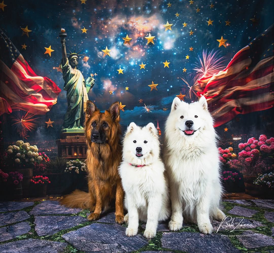 Independence Day Statue of Liberty Backdrop RR6-10