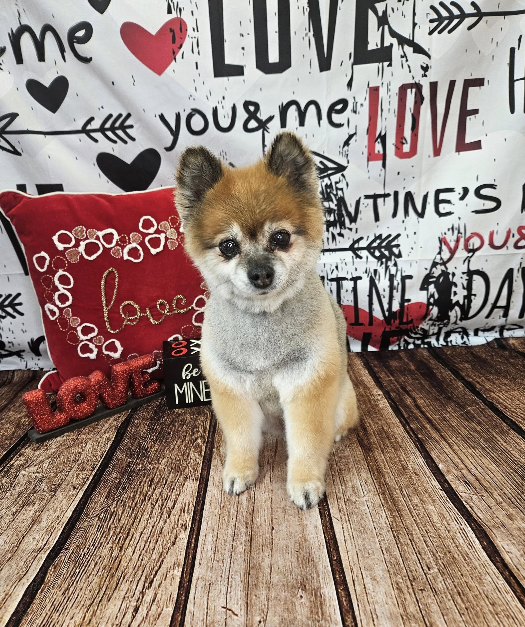 Valentine's Day Cupid's Arrow Romantic Text Graffiti Wall Wood Floor Backdrop M12-19