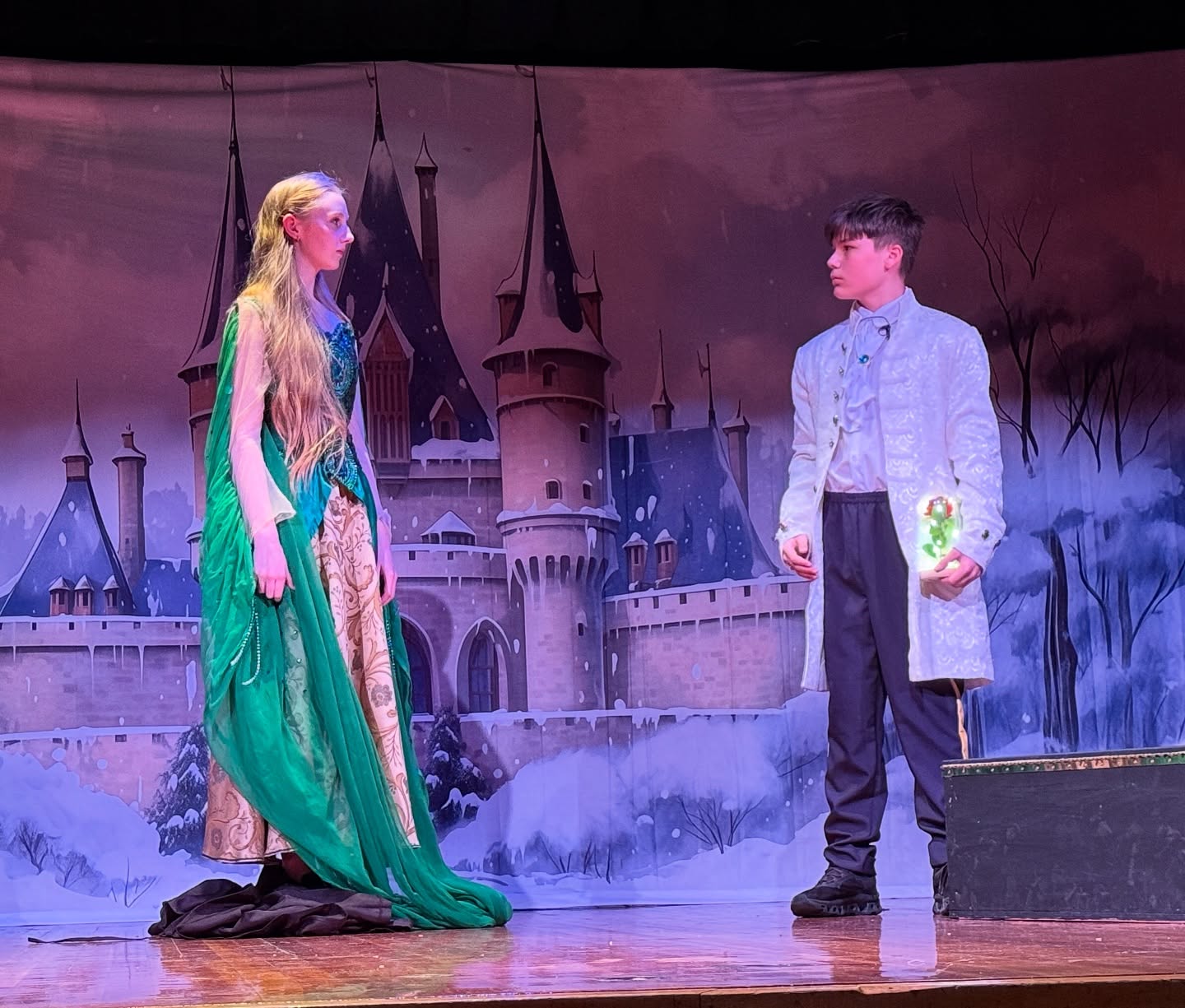 Winter Enchanted Castle Snowy Forest Backdrop BRP10-34