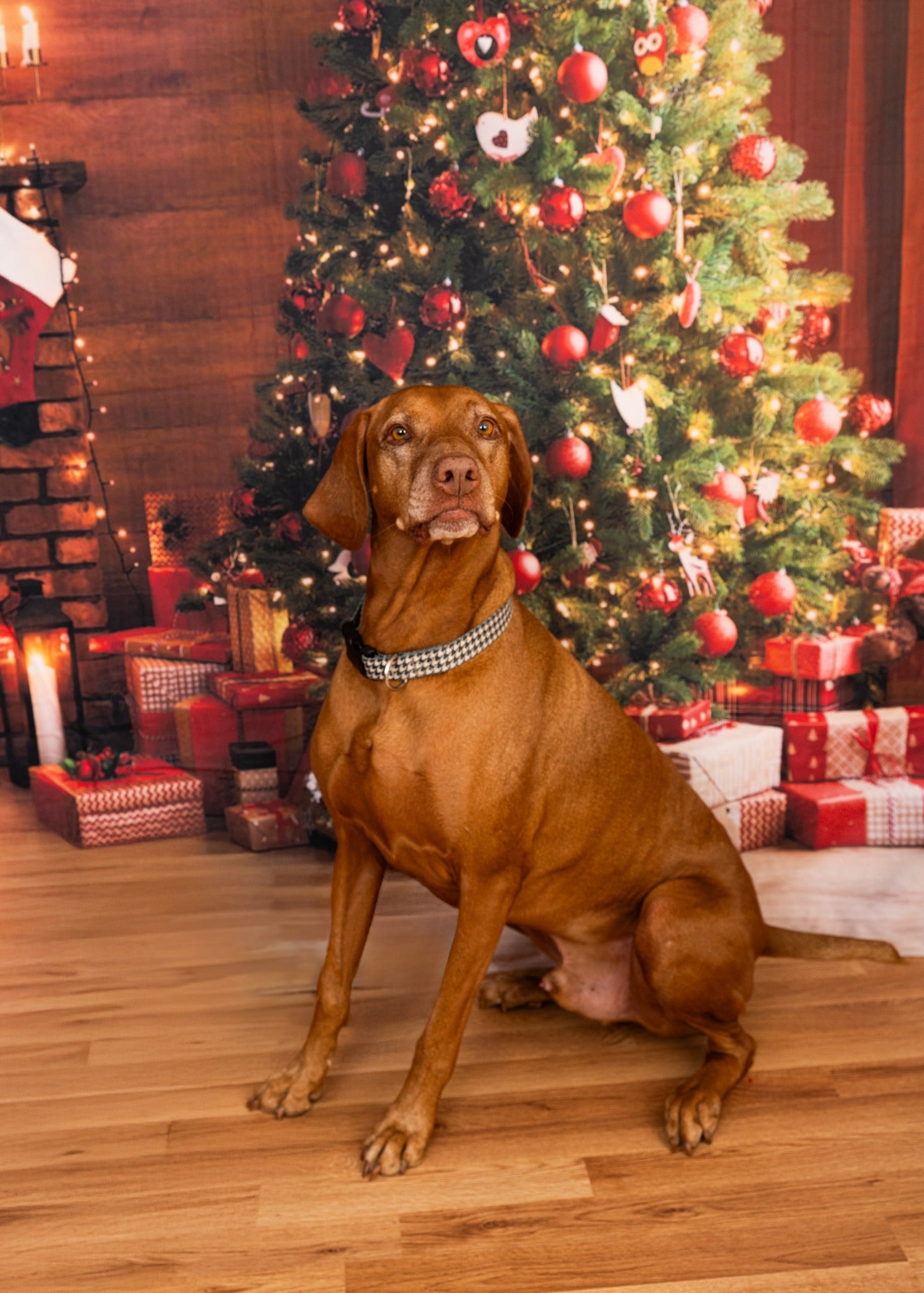 Christmas Glowing Tree Fireplace Gifts Backdrop M9-81