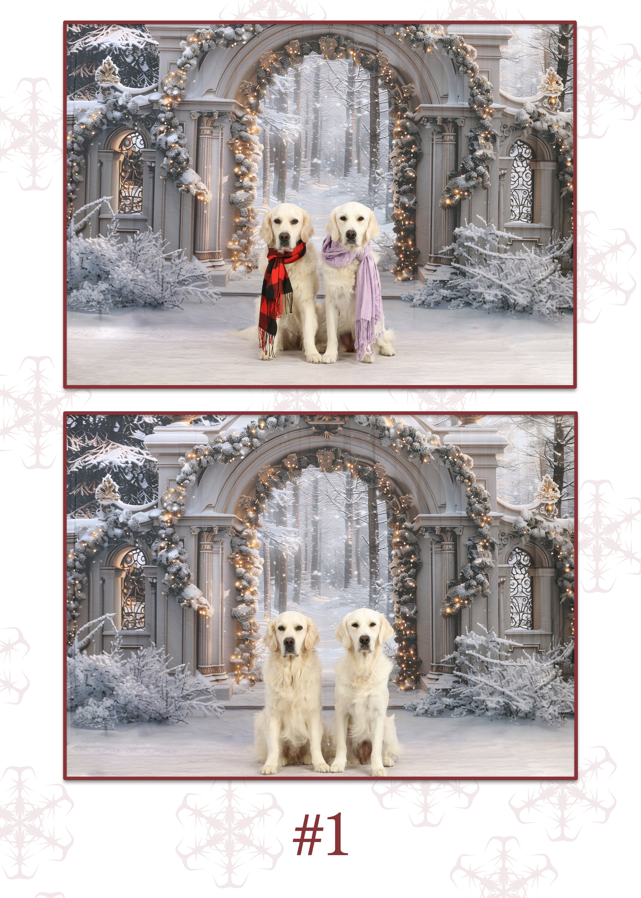 Christmas Snowy Archway Wonderland Backdrop RR7-592
