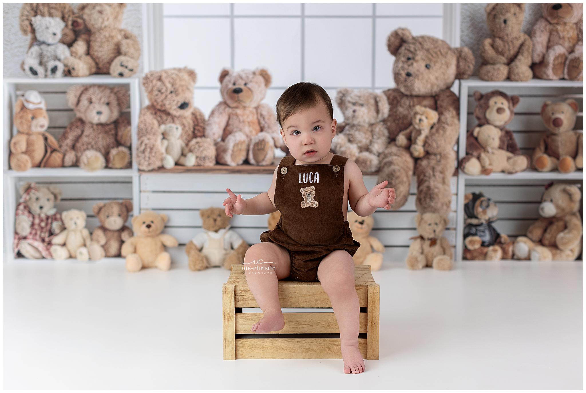 Kids Photo Backdrop Window Bench Teddy Bears Collection Children Backdrops MRR9-55