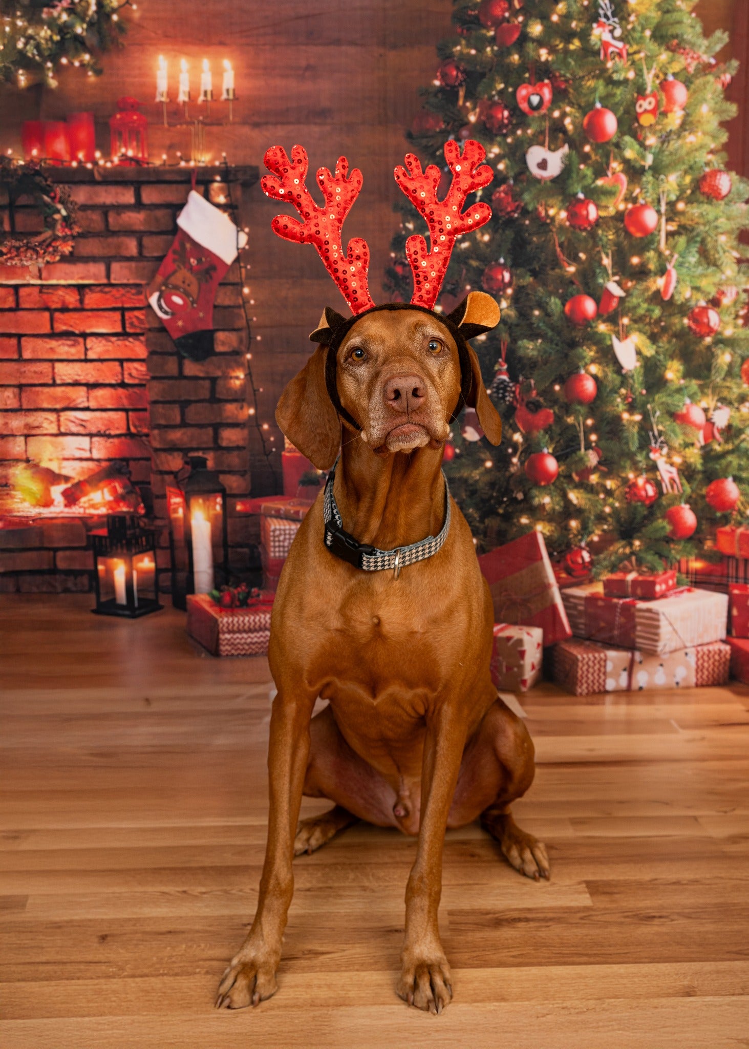 Christmas Glowing Tree Fireplace Gifts Backdrop M9-81