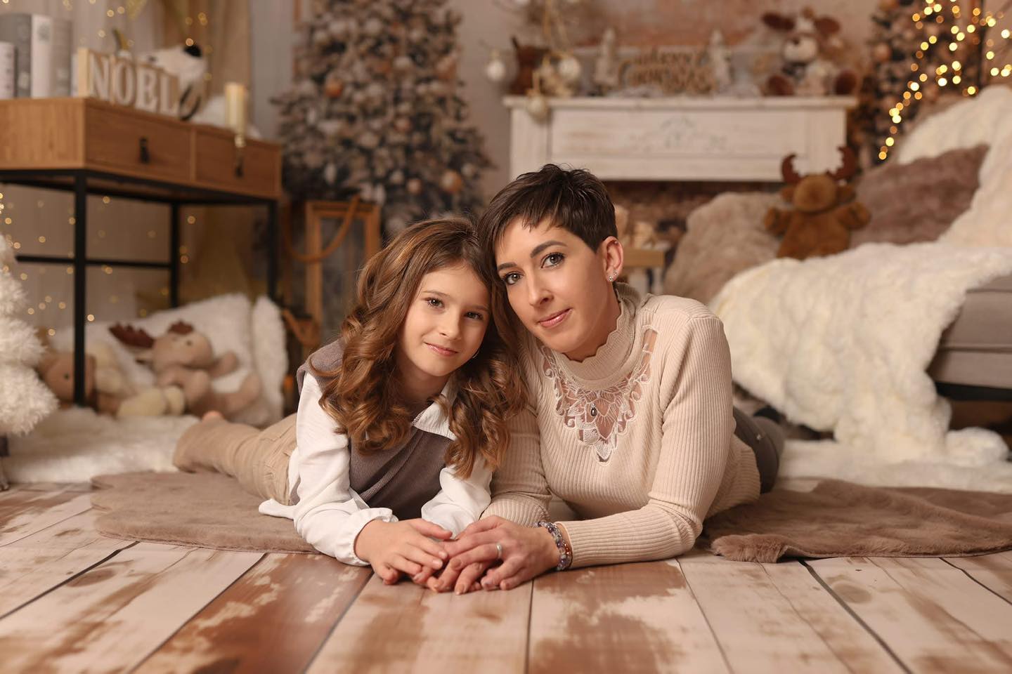 Christmas Holiday Photography Studio Backdrop D816