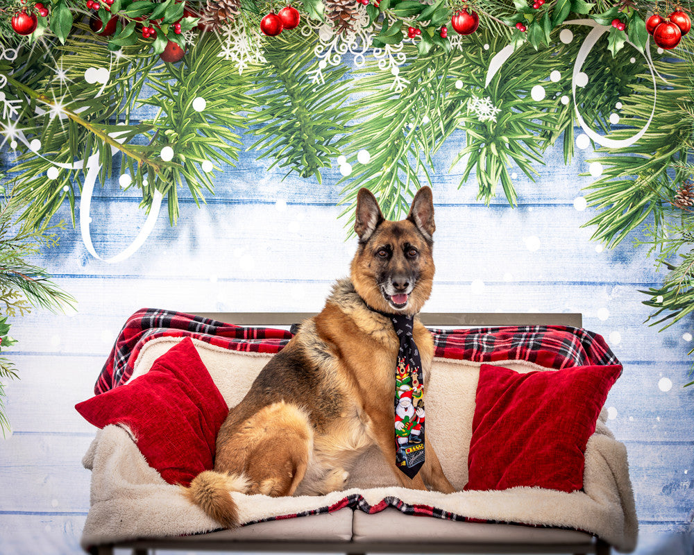 Christmas Snowflake Decoration Wood Wall Backdrop for Photography G-519