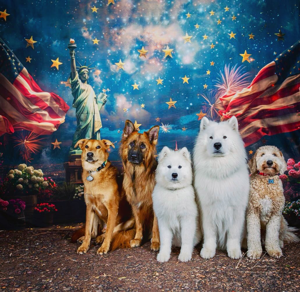 Independence Day Statue of Liberty Backdrop RR6-10