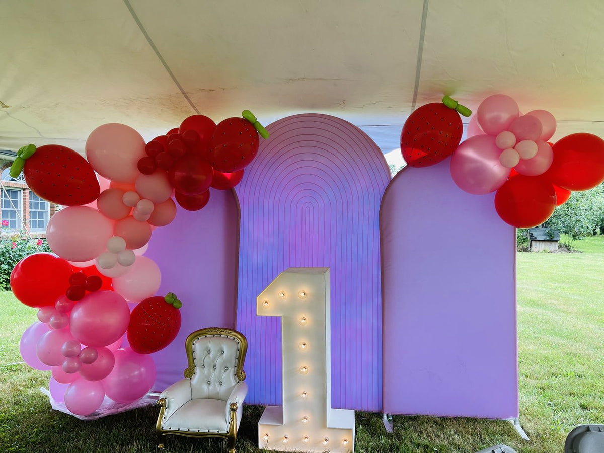Custom Arch Backdrop Kit Theme Party Personalized Arch Cover