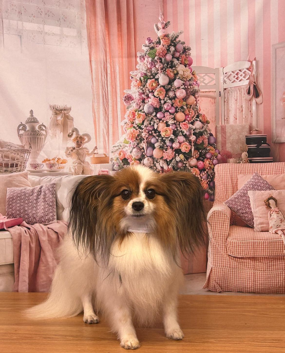 Pink Christmas Tree Fireplace Sofa Decor Backdrop M6-143