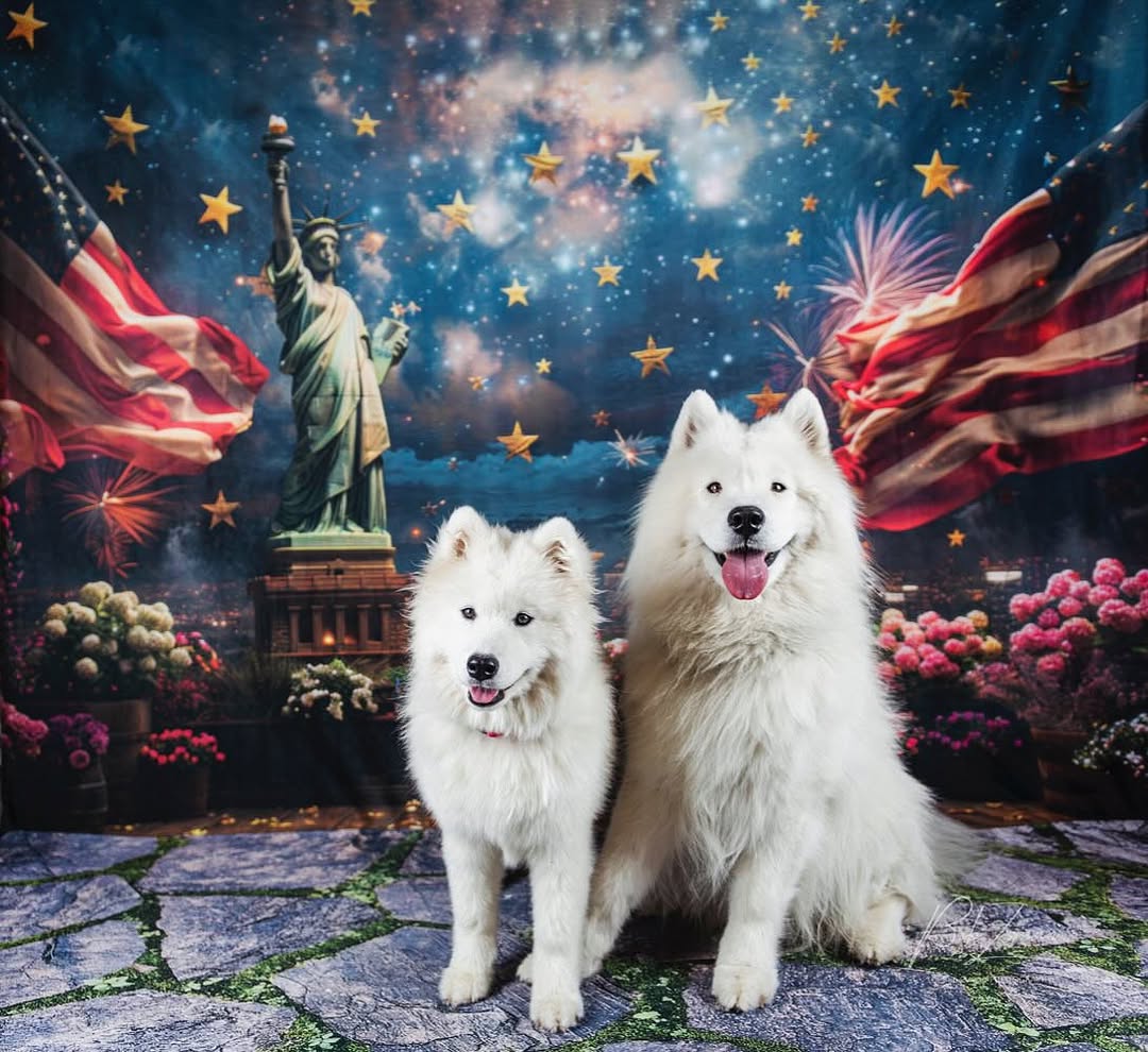 Independence Day Statue of Liberty Backdrop RR6-10