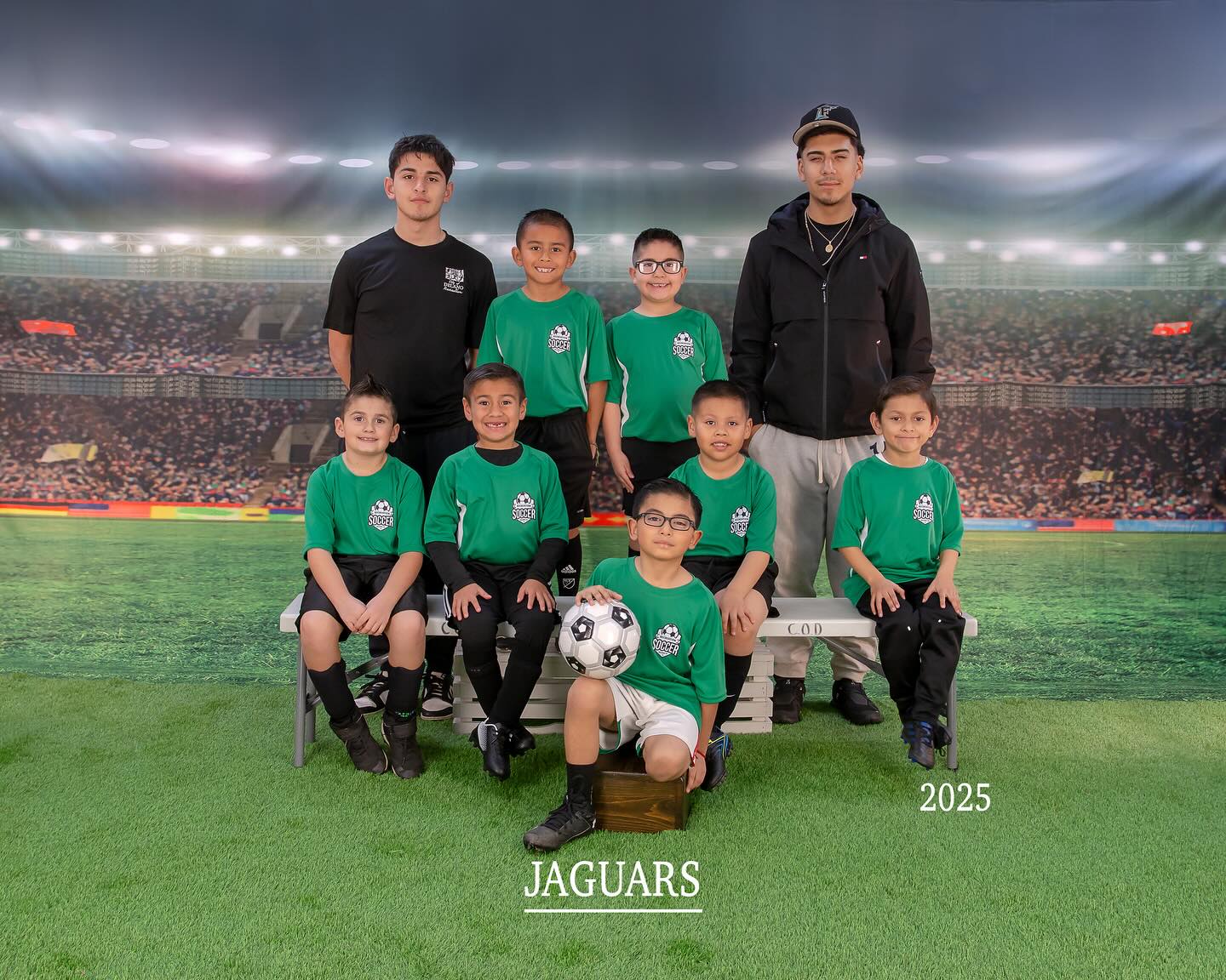 Soccer Field Green Lawn Lights Sport Photo Backdrops G-264