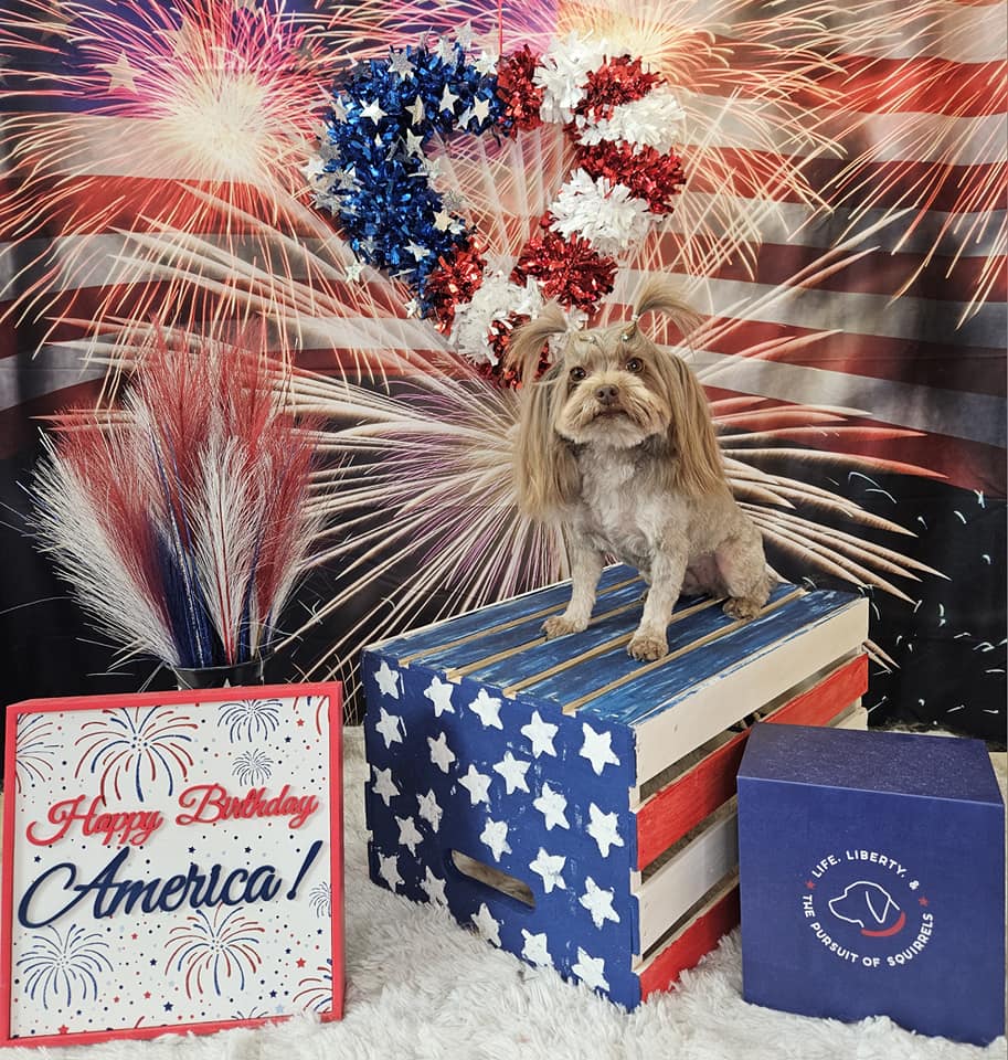 Firework American Flag 4th of July Backdrop M6-20