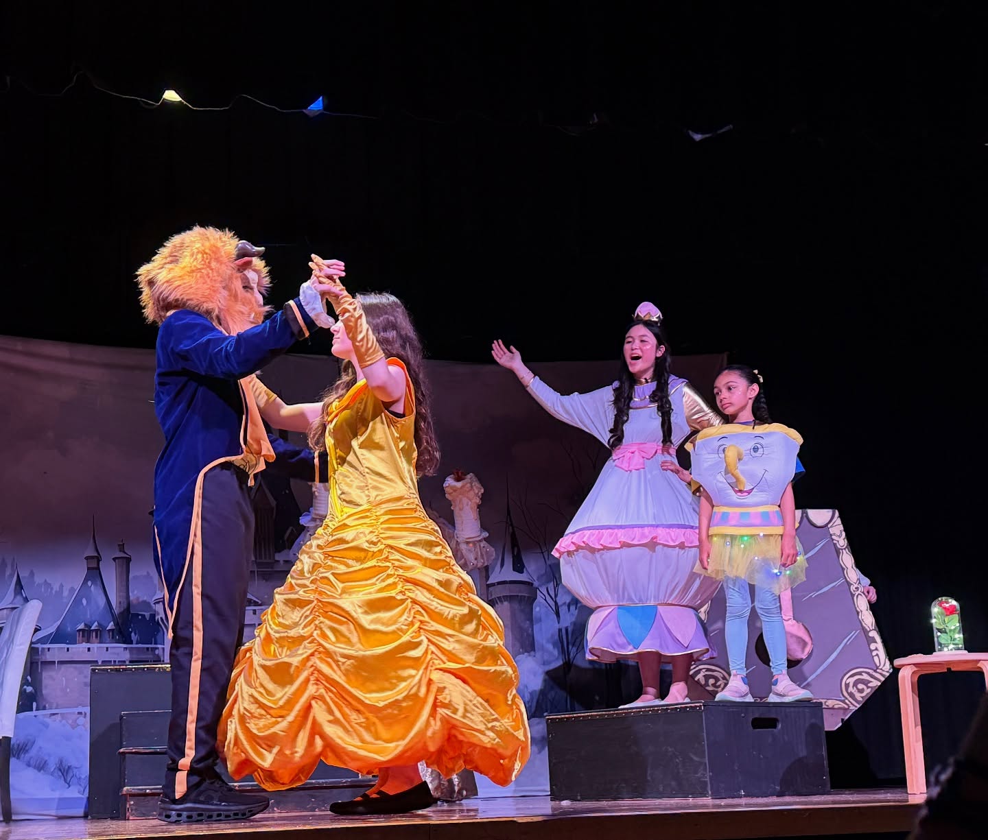 Winter Enchanted Castle Snowy Forest Backdrop BRP10-34