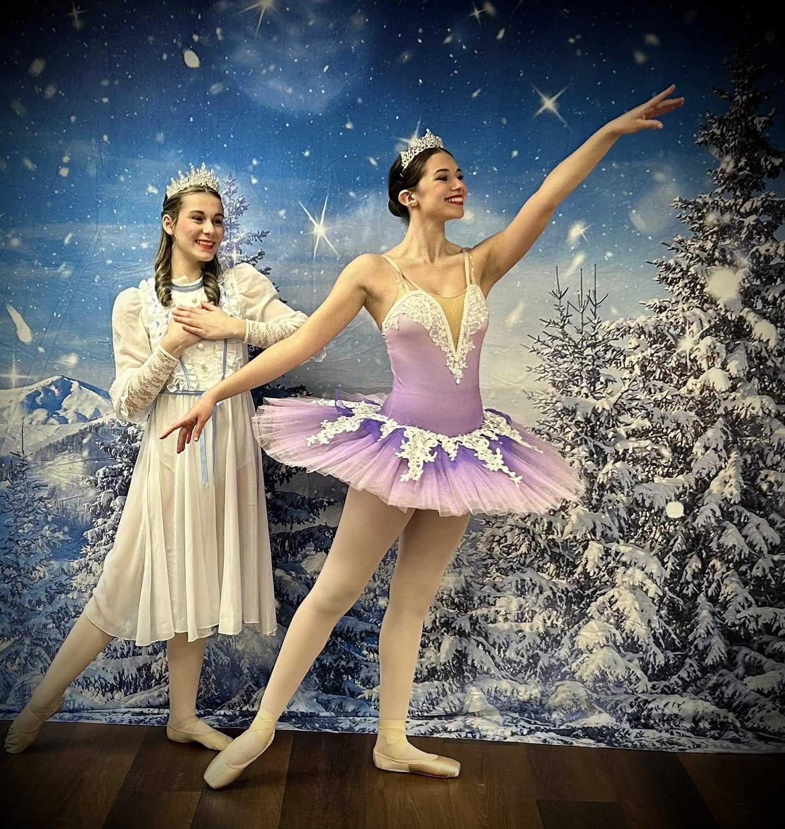 Starry Sky In Winter Snowy Night Backdrop M8-17 - Main Image