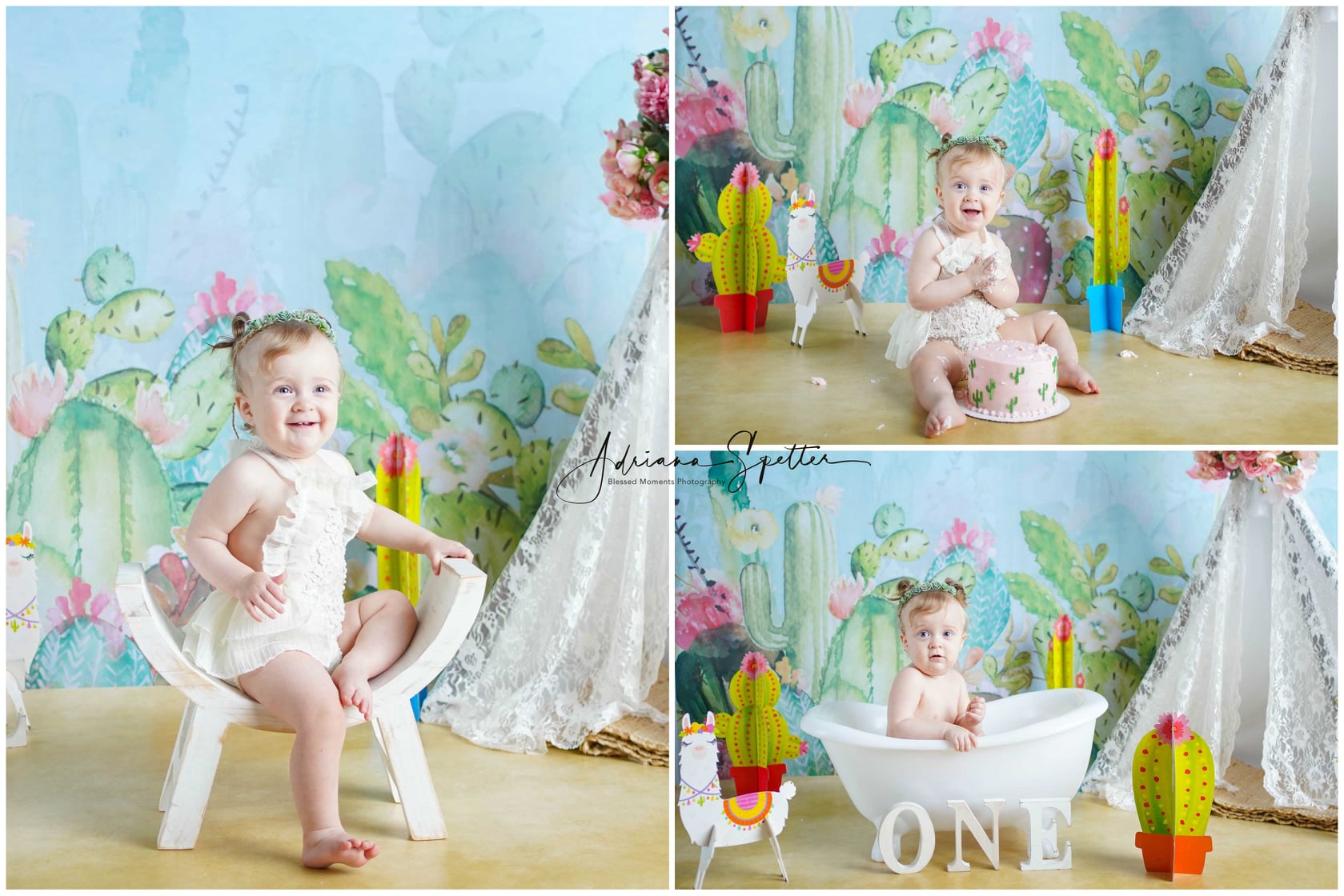 Kids Photo Backdrop Cactus Garden Flowers Newborn Backdrop MRR10-39