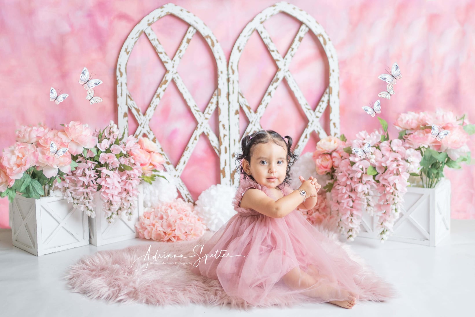 Newborn Backdrop Pink Floral Arch Flowers Children Backdrops MRR10-40