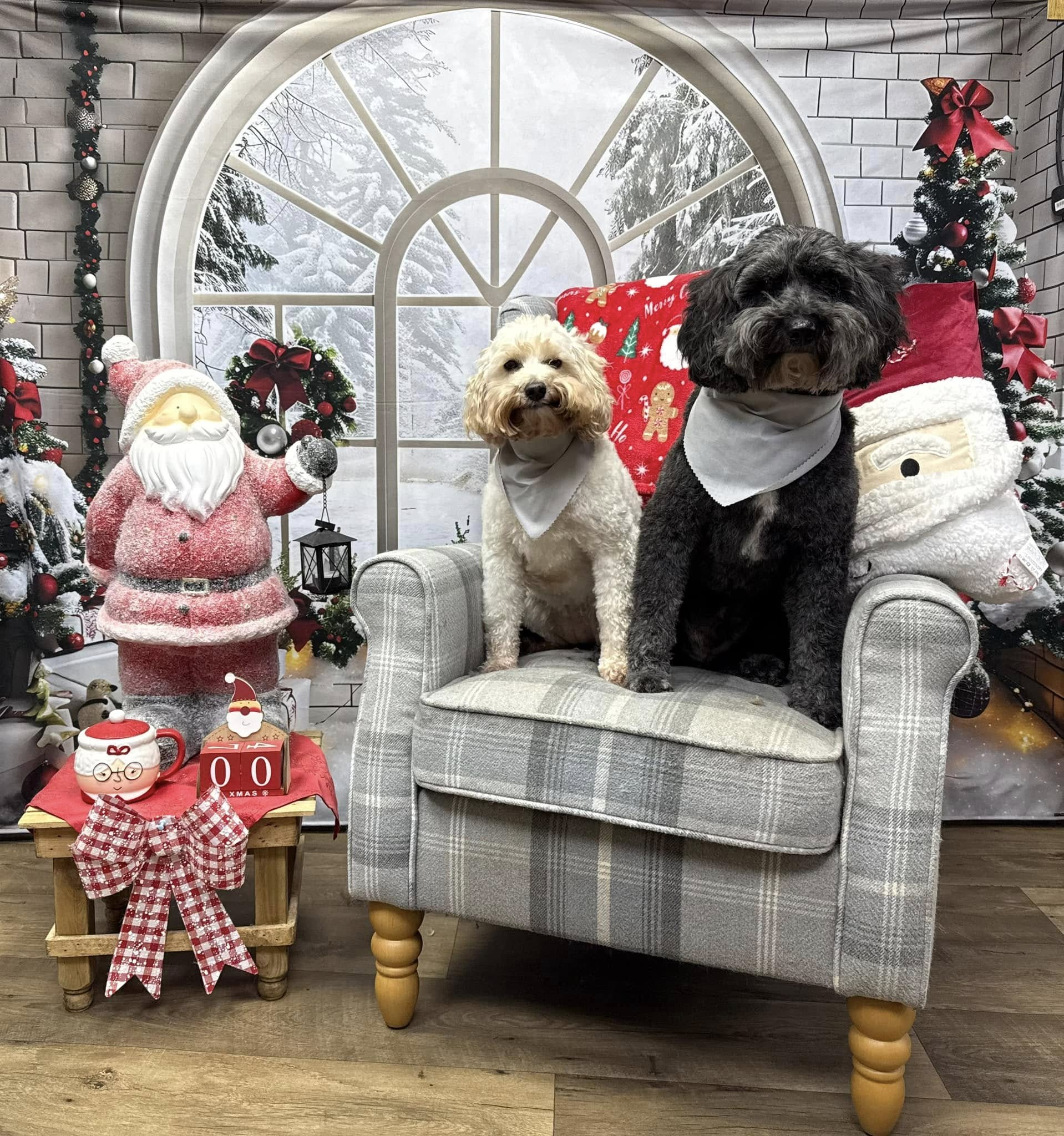 Christmas Arched Window Decorations Backdrop RR7-690