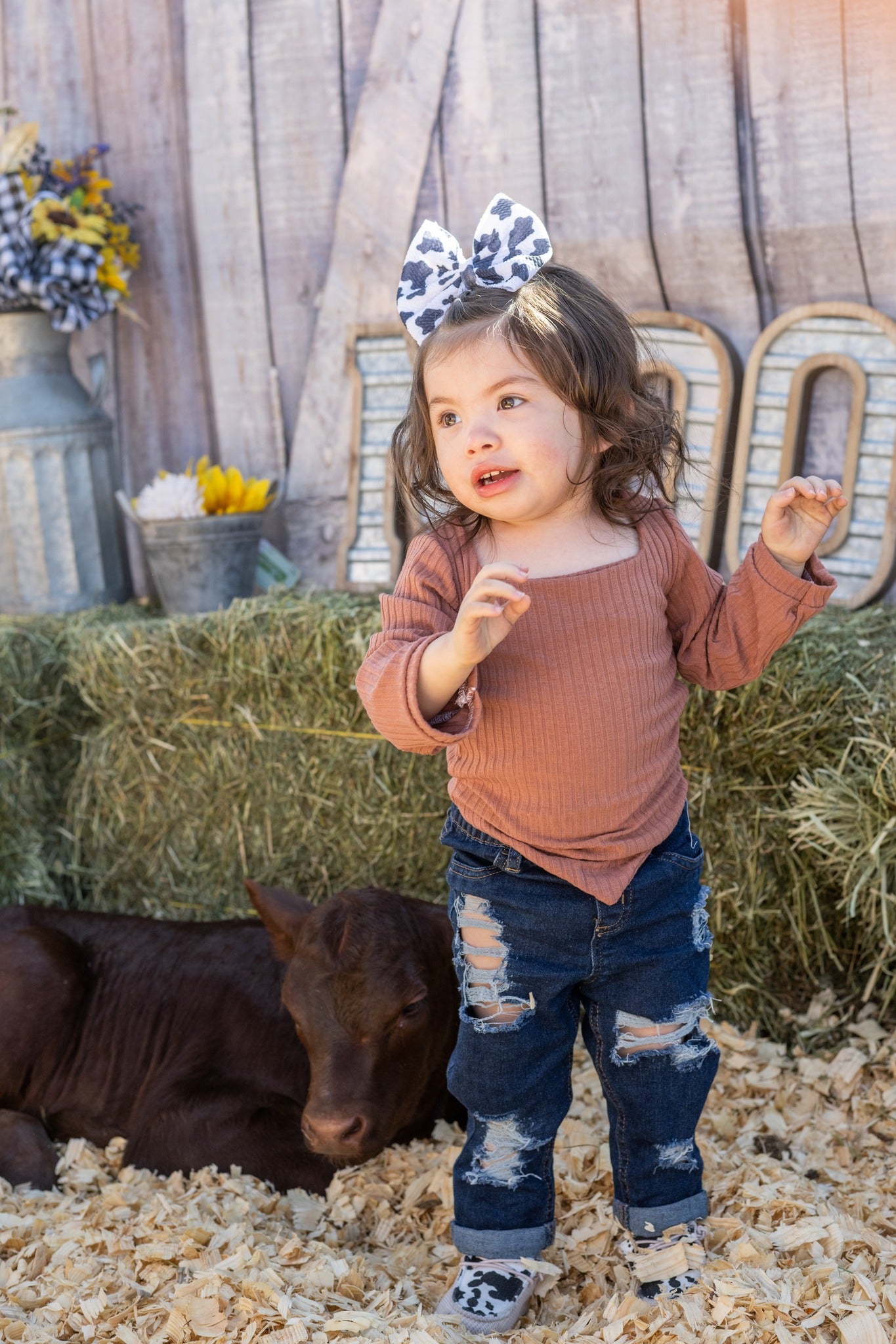 Retro Wooden Barn Door Backdrop for Photo Booth GA-69