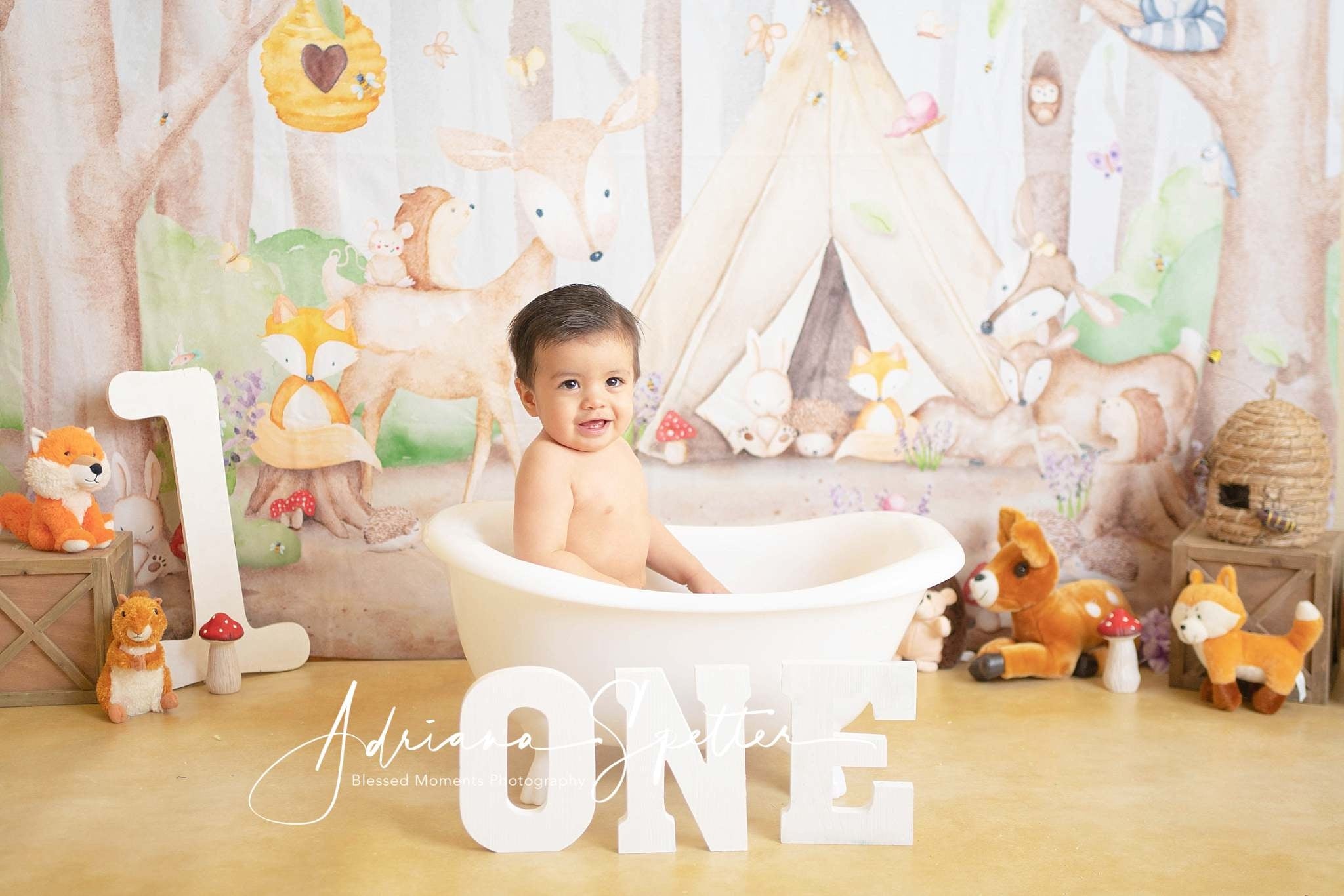 Forest Backdrop Animals Tent Trees Newborn Photography Backdrop MRR10-29