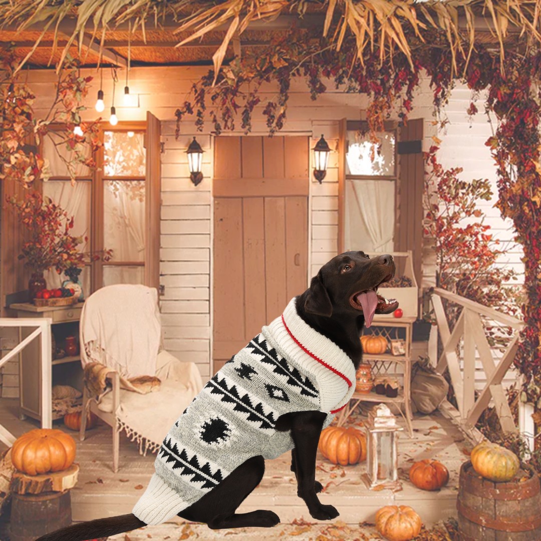 Photography Backdrop Pumpkin Fall Halloween Courtyard SH-1096