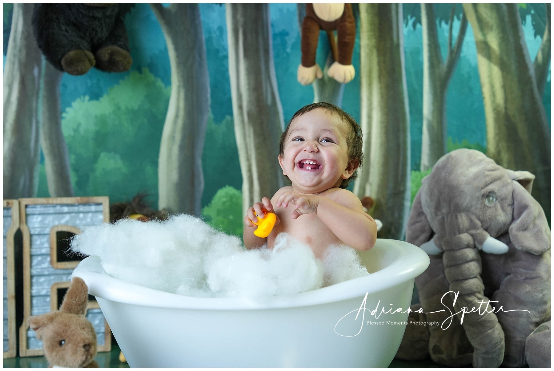 Newborn Backdrop Enchanted Forest Trees Kids Photo Backdrop MRR10-24