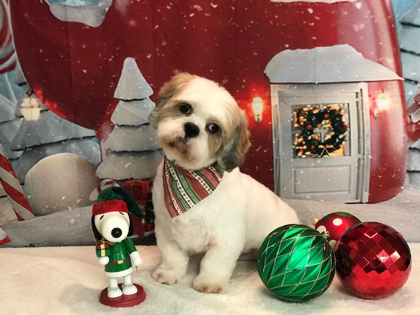 Christmas Night Tea House Snow Photo Shoot Backdrop LV-983
