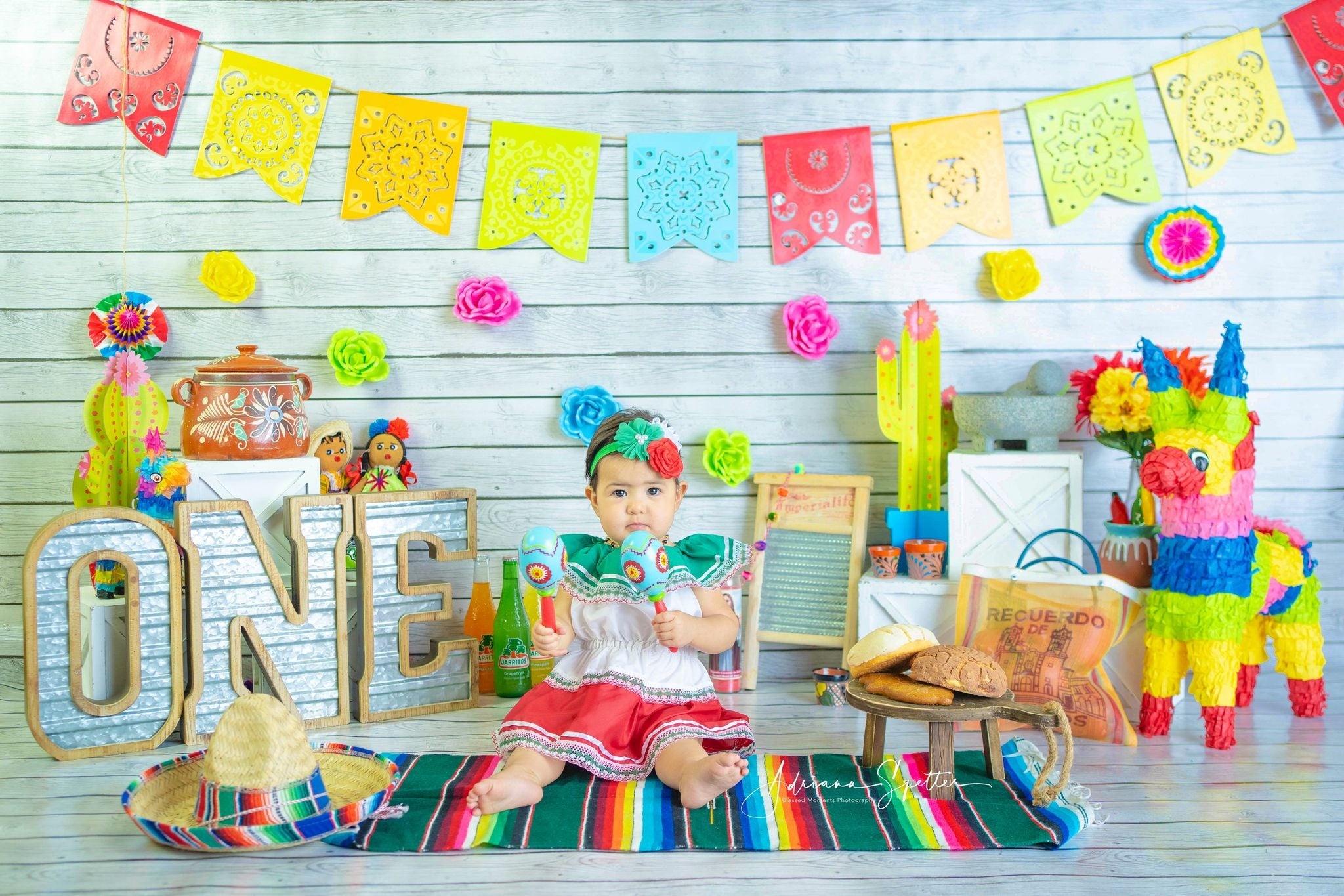 1st Birthday Backdrop Colorful Floral Garlands Flags Cake Smash Backdrop MRR10-46