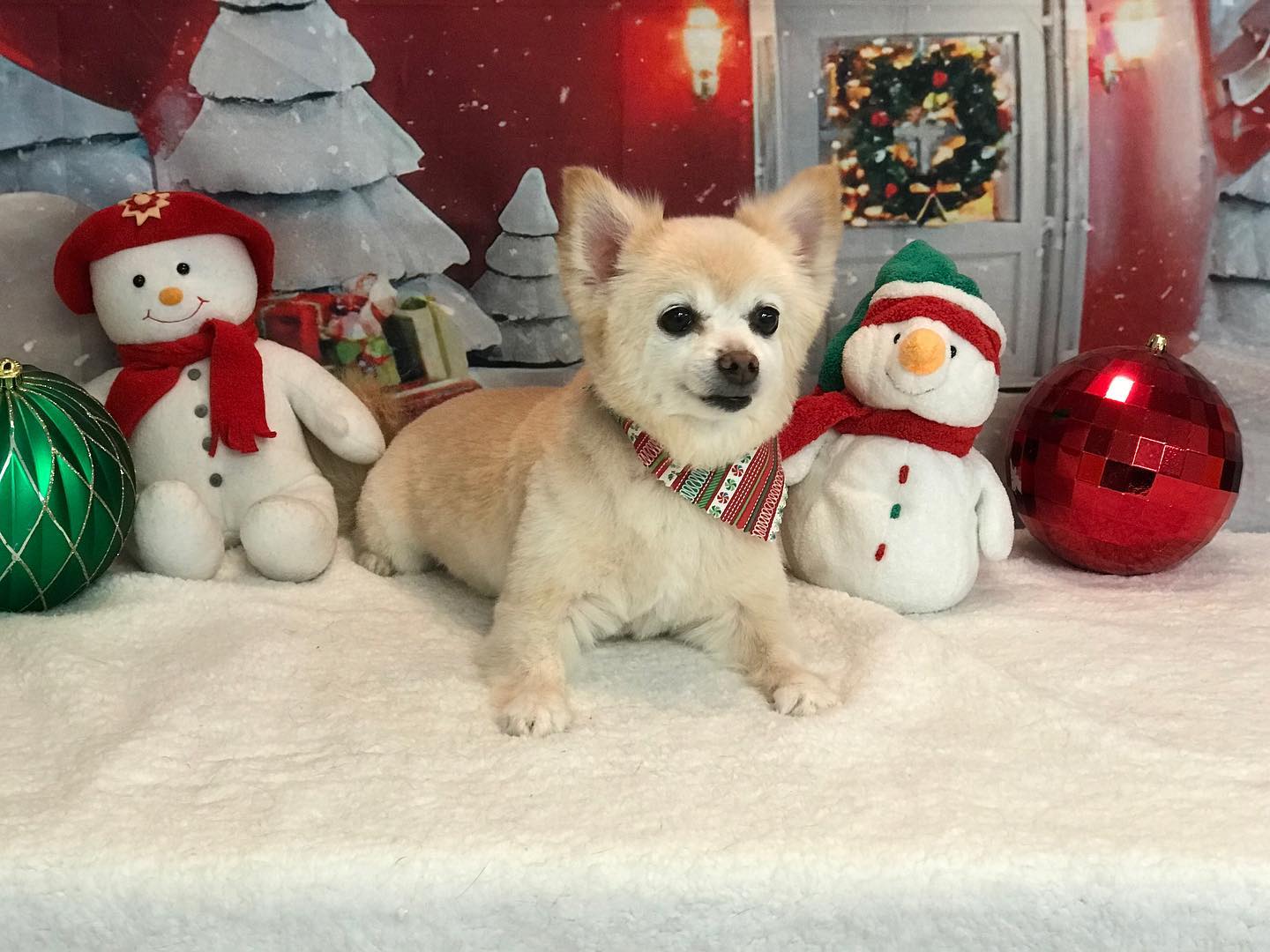 Christmas Night Tea House Snow Photo Shoot Backdrop LV-983