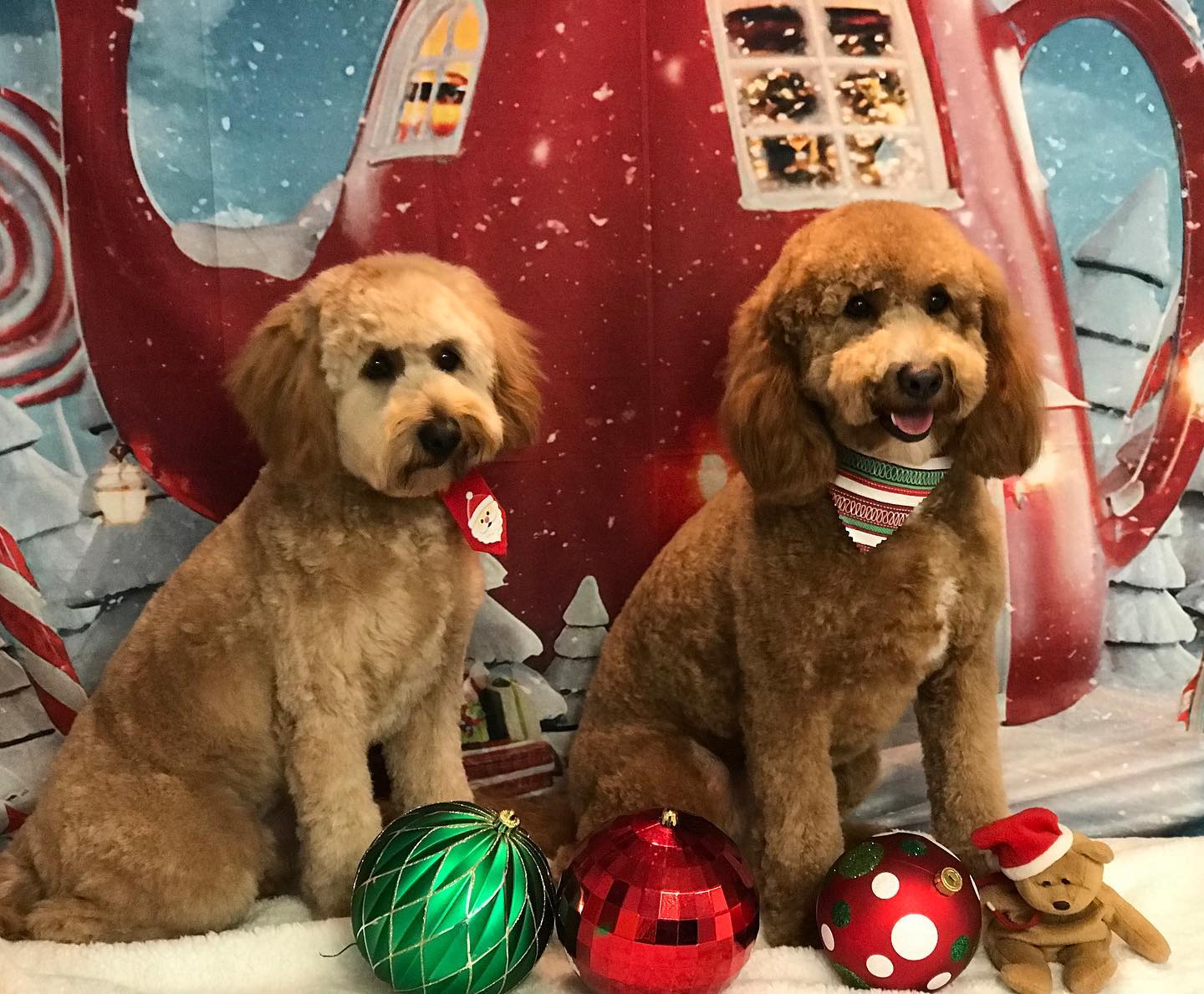 Christmas Night Tea House Snow Photo Shoot Backdrop LV-983