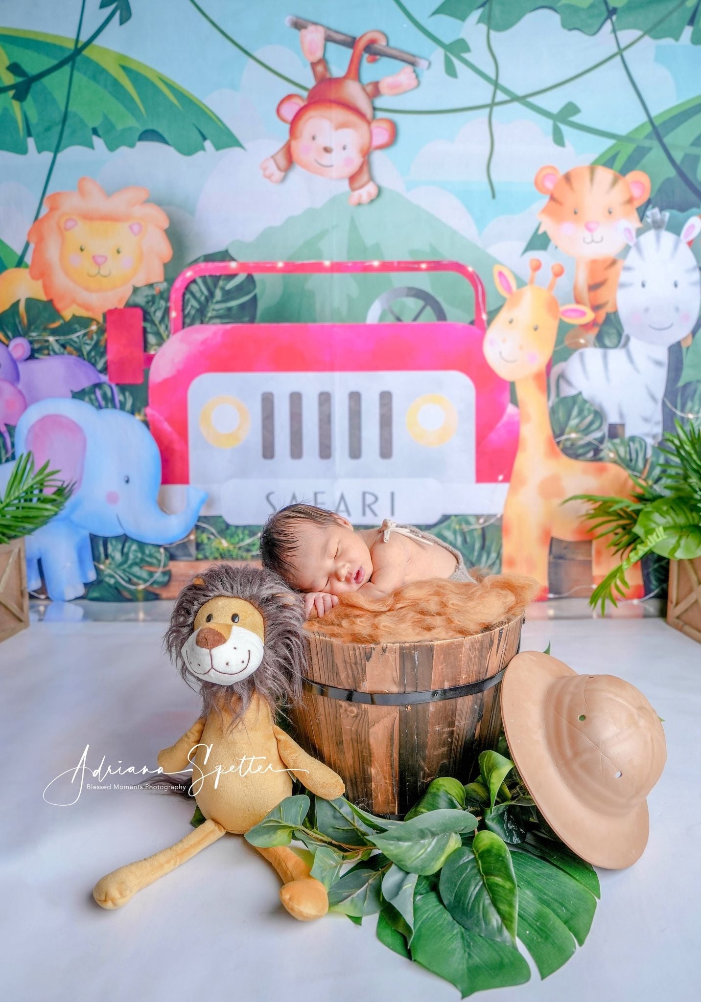 Kids Photo Backdrop Safari Jungle Adventure Children Backdrops MRR10-50