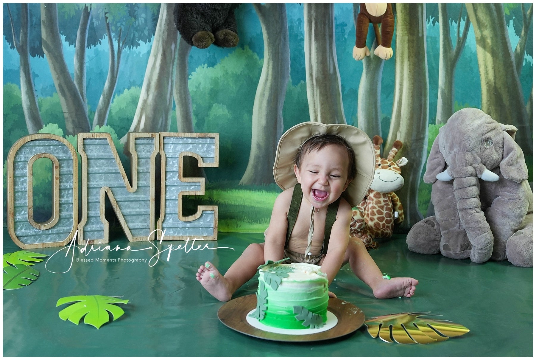 Newborn Backdrop Enchanted Forest Trees Kids Photo Backdrop MRR10-24