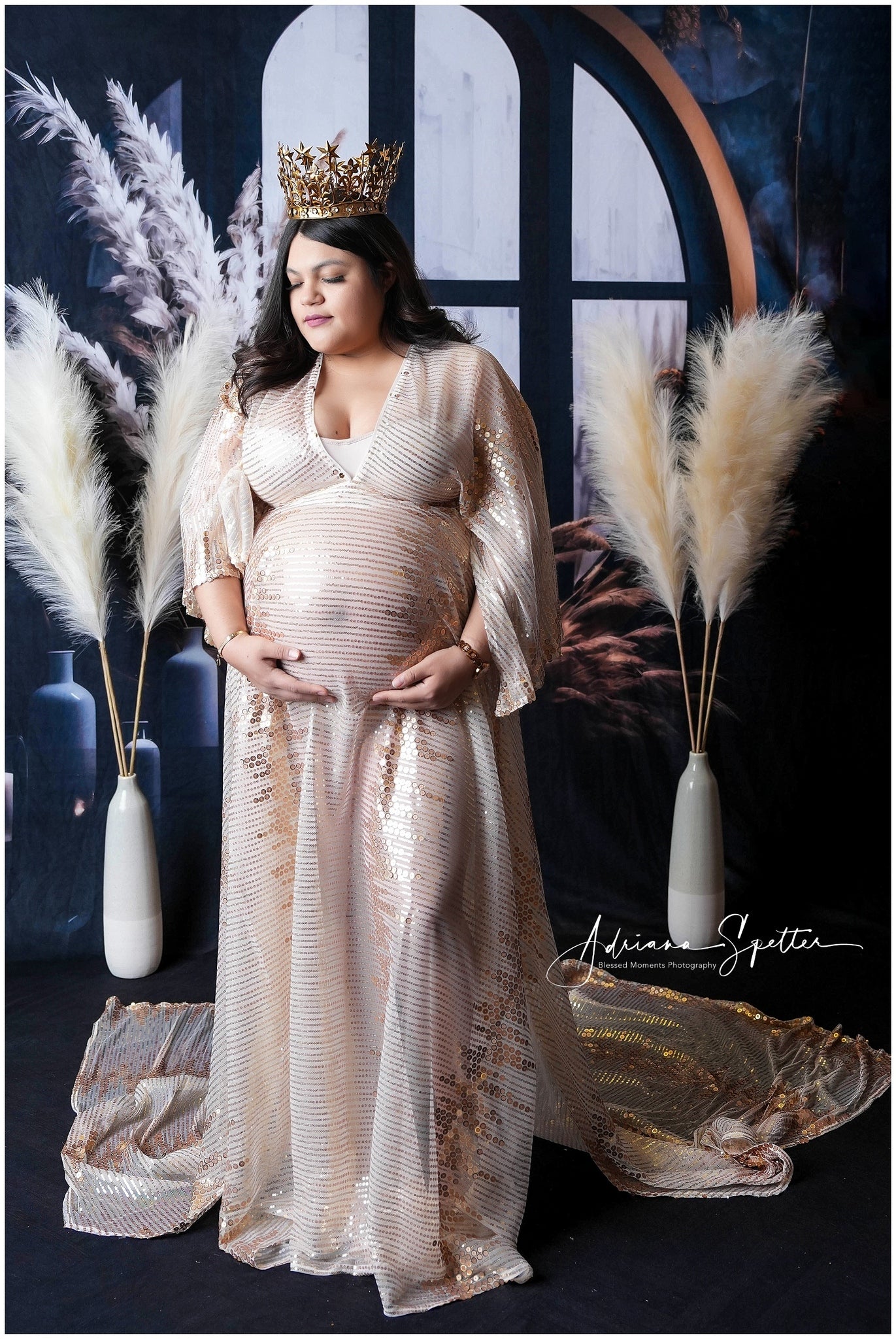 Boho Backdrop Dark Window Pampas Grass Bohemian Backdrop MRR10-53