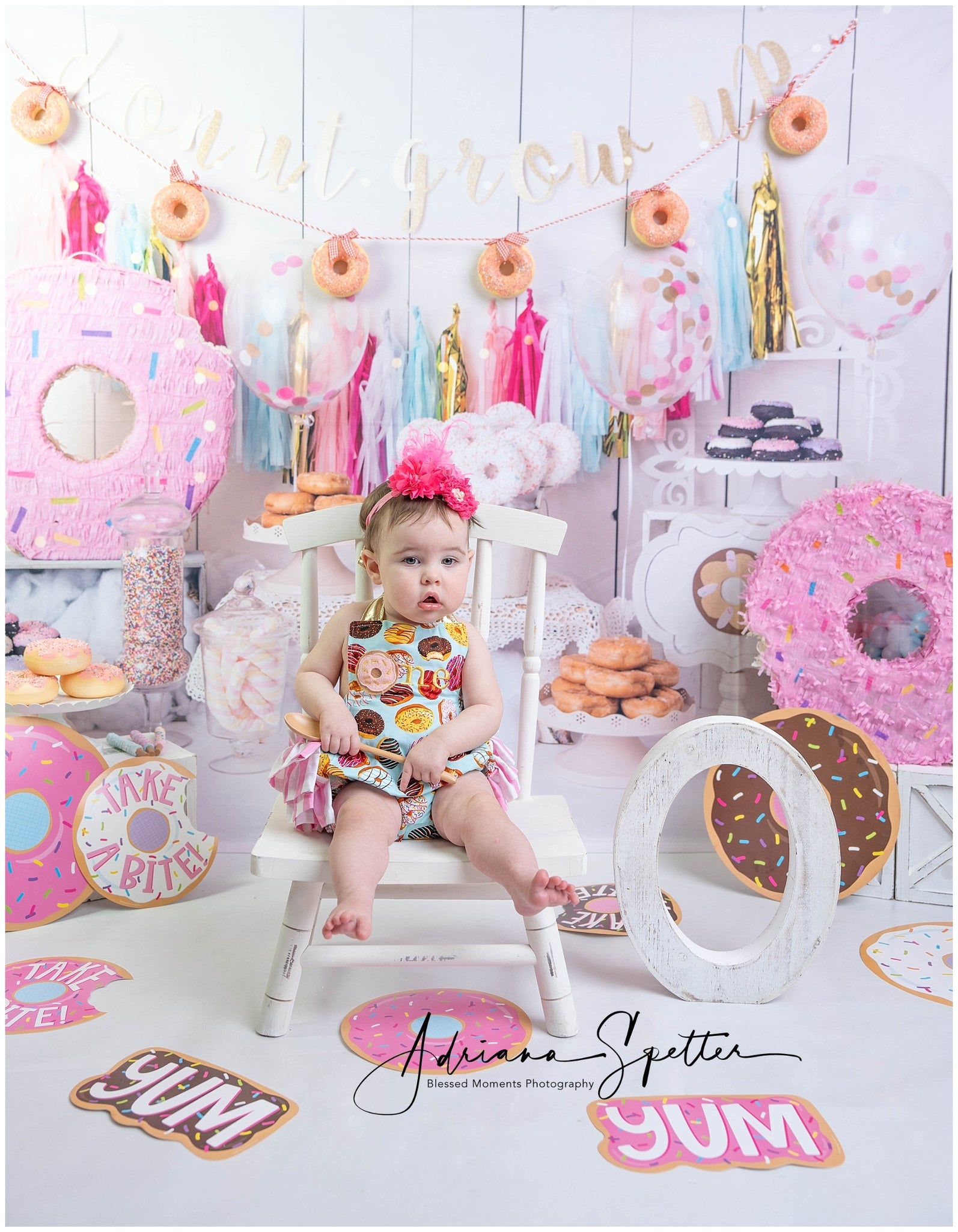 Birthday Backdrop Donut Themed Party Cake Smash Backdrop MRR10-30