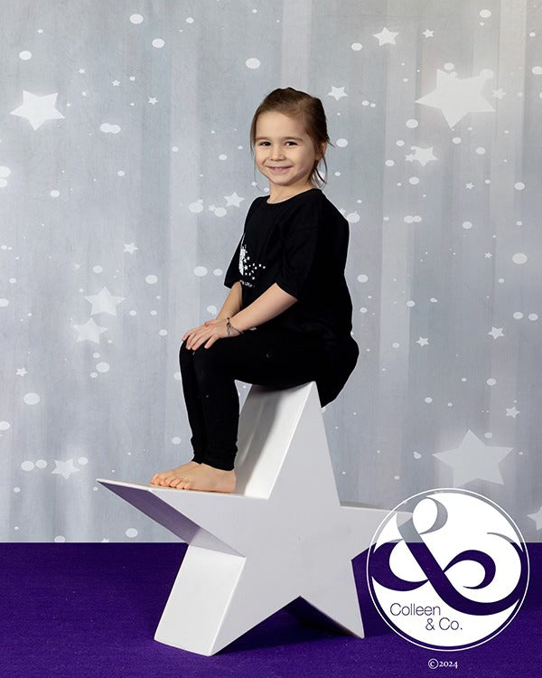 Shiny Grey Stars Glitter Photo Studio Backdrop GC-105