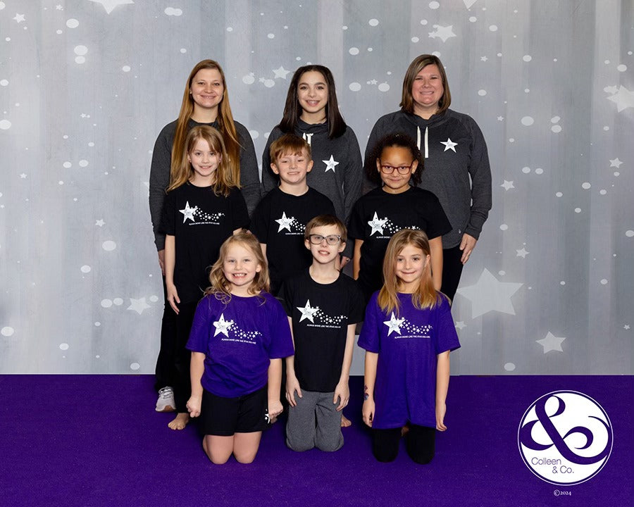 Shiny Grey Stars Glitter Photo Studio Backdrop GC-105