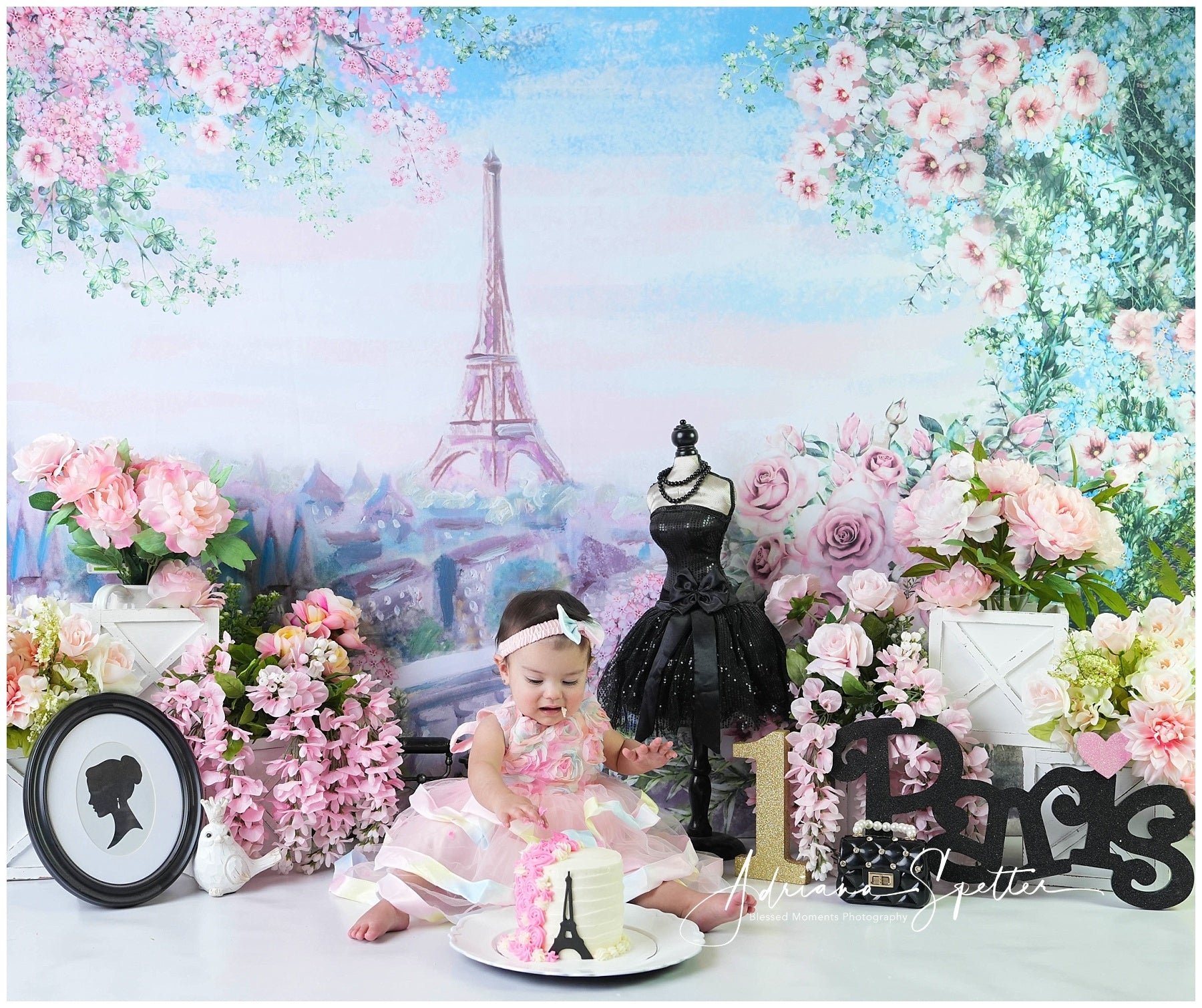 Cake Smash Backdrop Eiffel Tower Spring Floral Birthday Backdrop MRR10-45