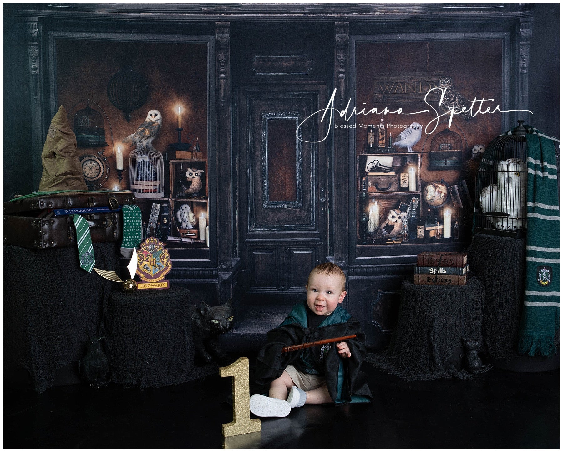 Halloween Backdrop Magical Wizard Shop Window Halloween Photo Backdrop MRR10-23